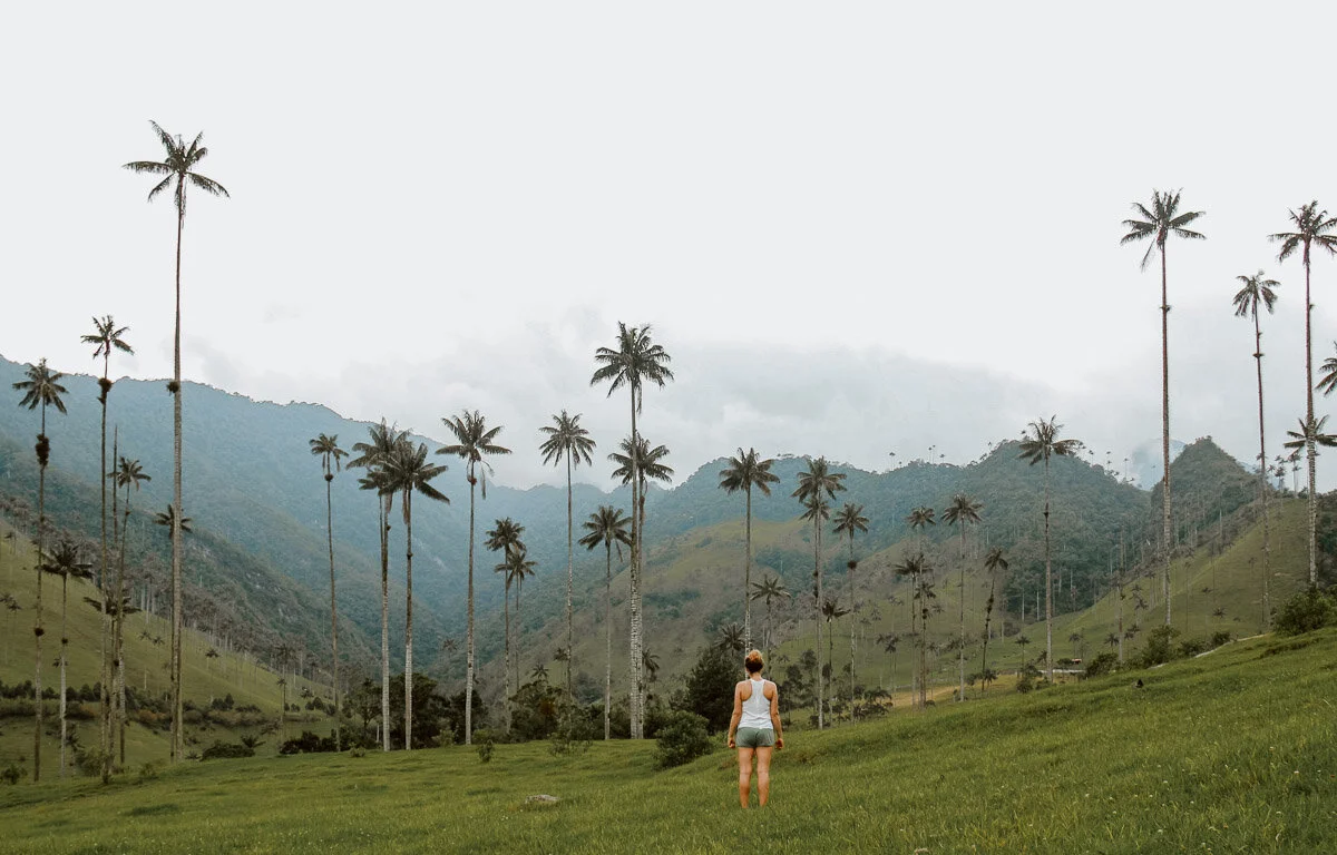 Valle de Cocora, Salento, Colombia