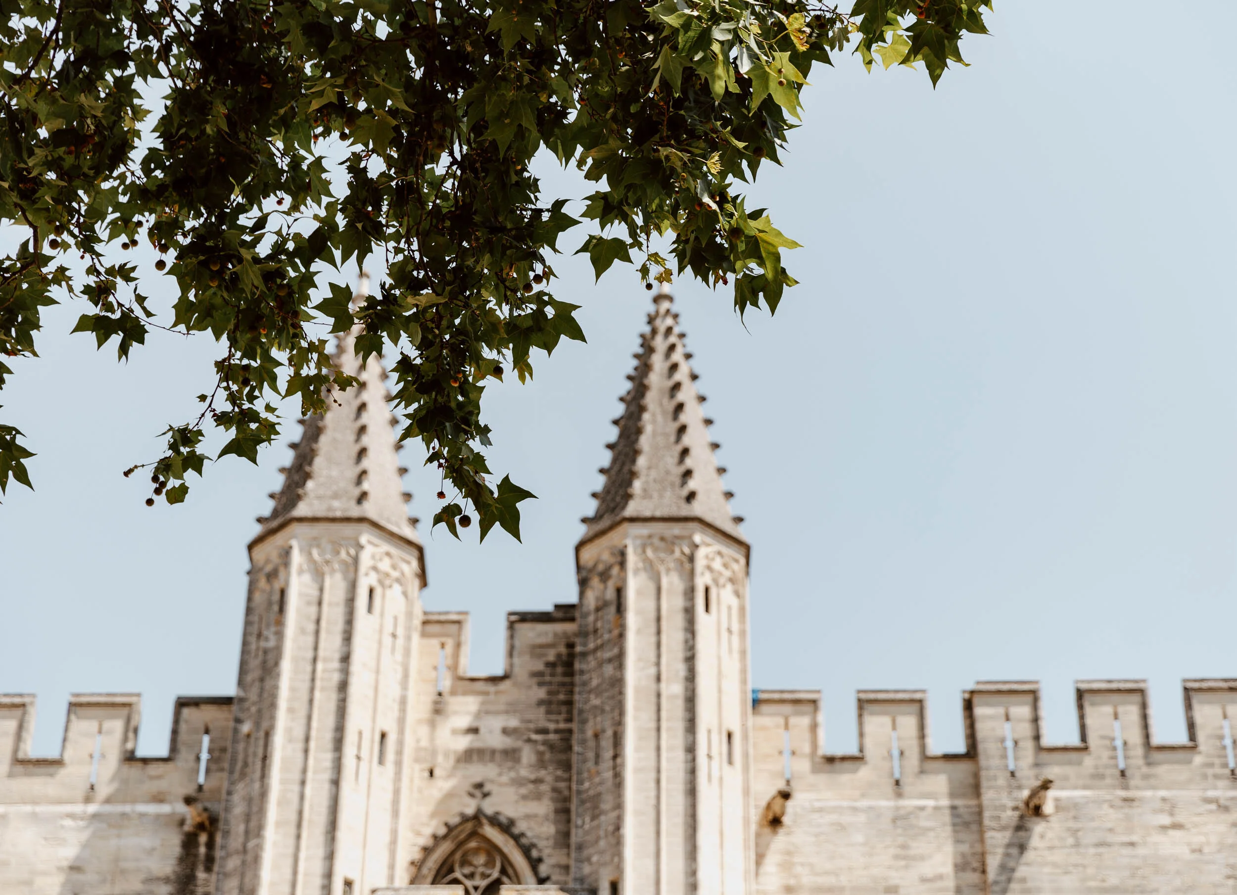 A Photographic Journey Through The Palais des Papes