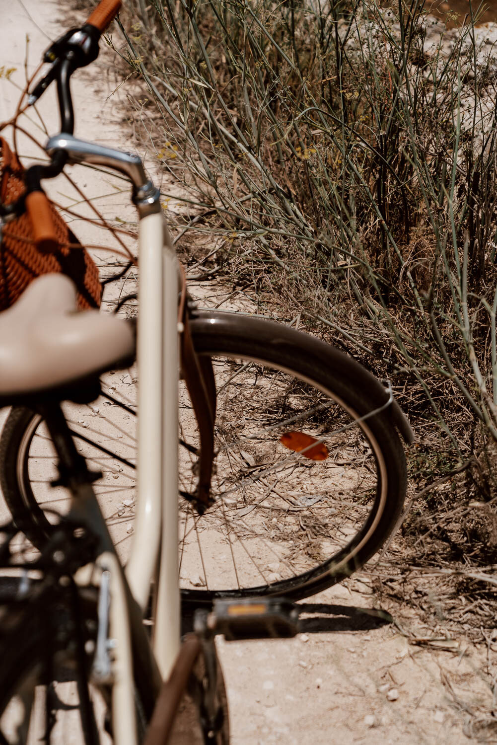 Bike rental, Favignana