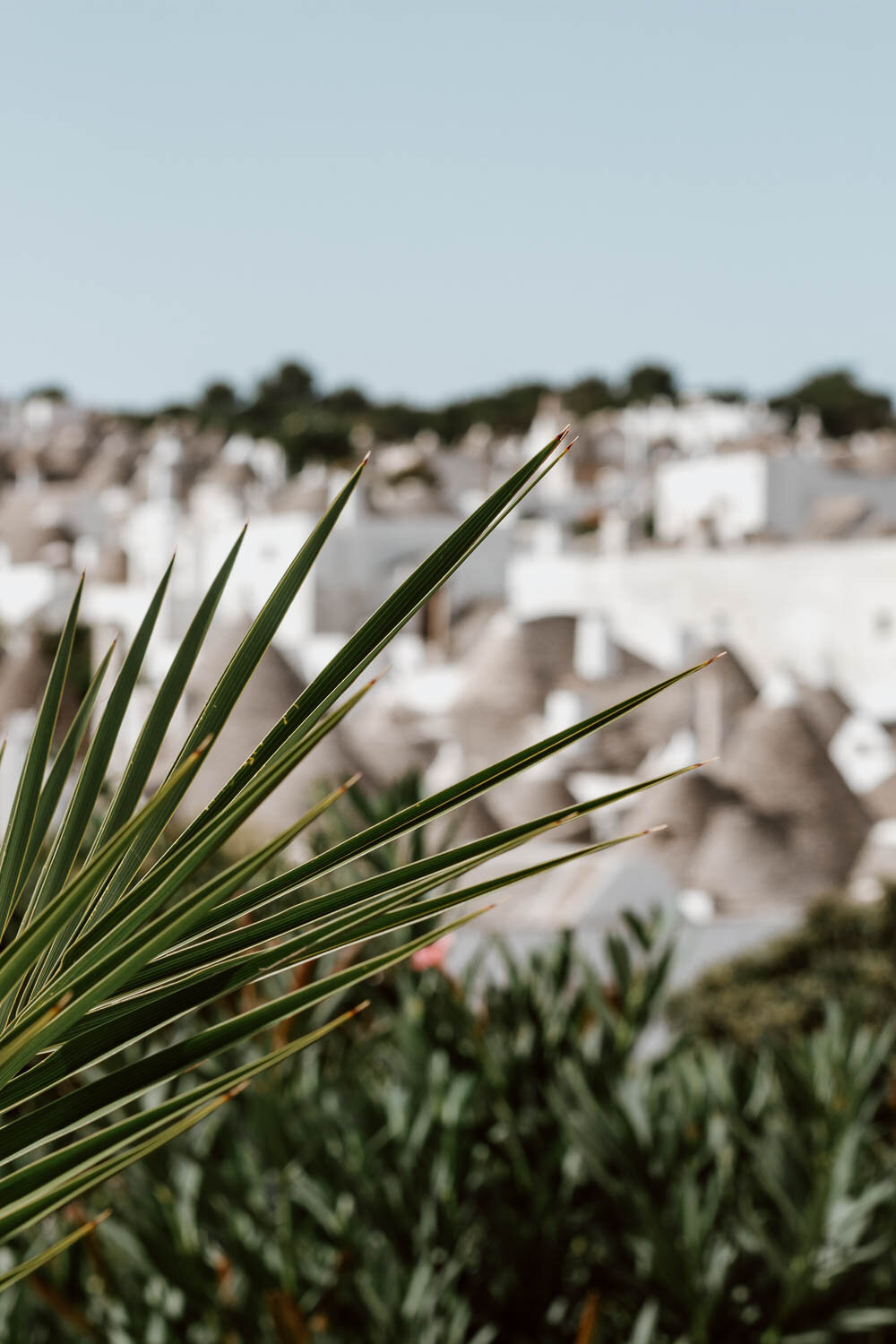 Alberobello Puglia Italy Things to Do