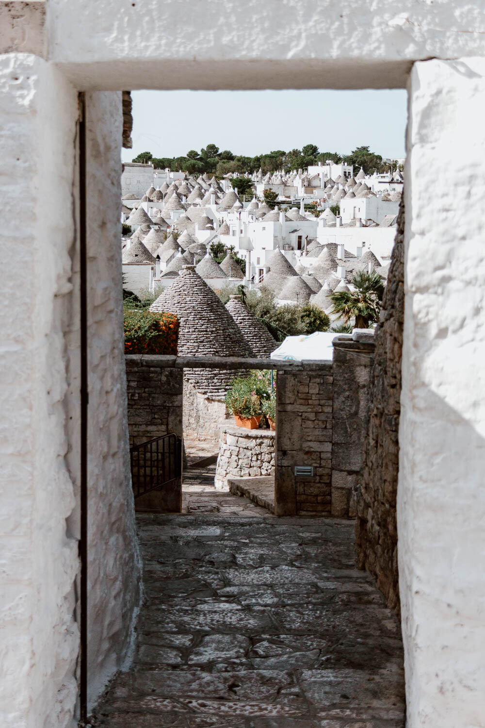 Alberobello Puglia Italy Things to Do