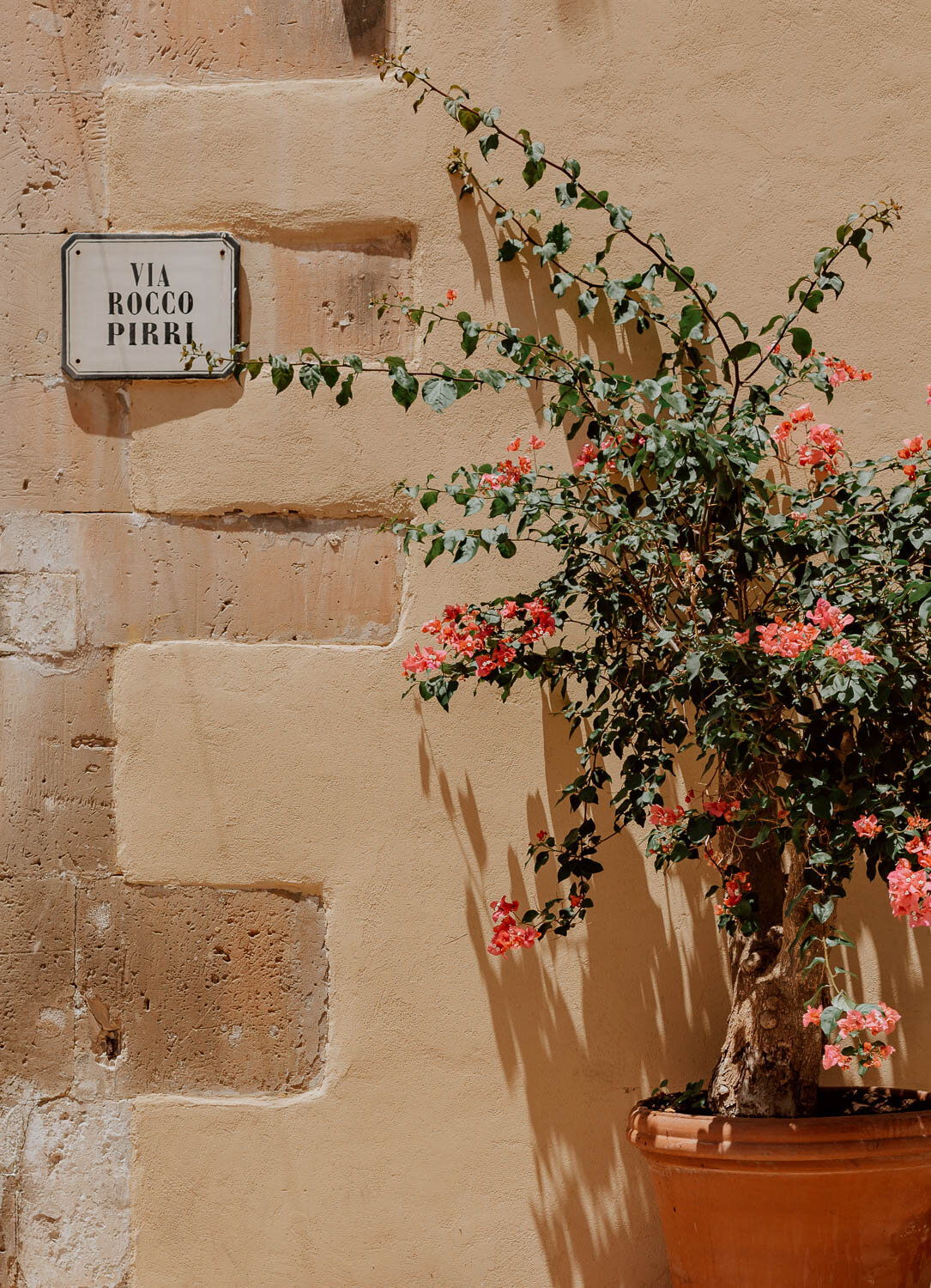 西西里岛诺托的街道标志和鲜花