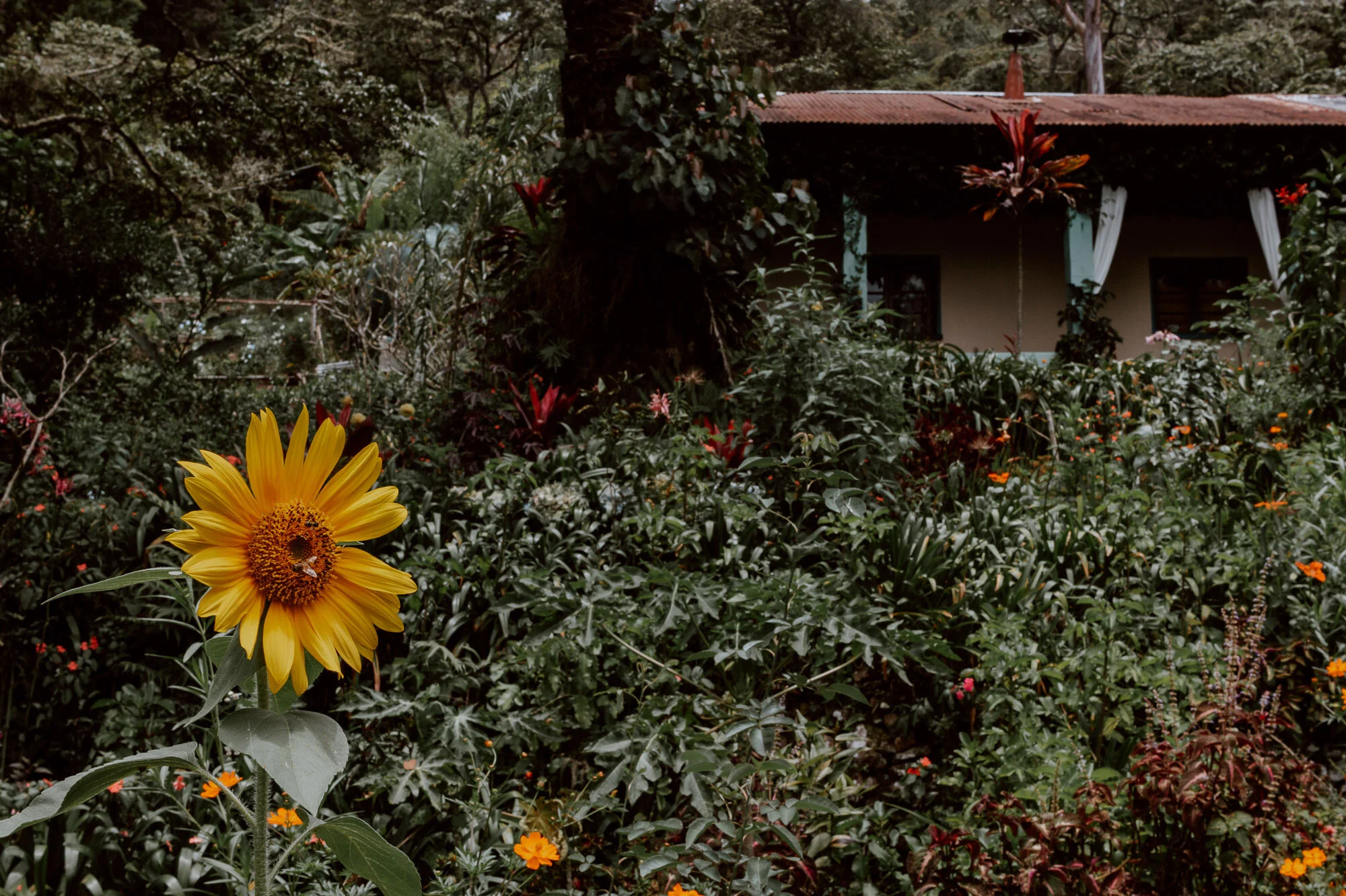 Sol y Luna Ecolodge | A Peaceful Hideaway in Coroico
