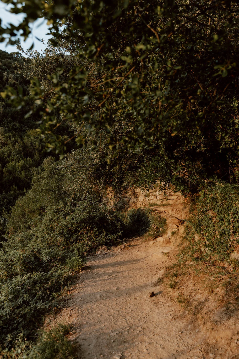 Dusty trail from Vernazza to Monterosso