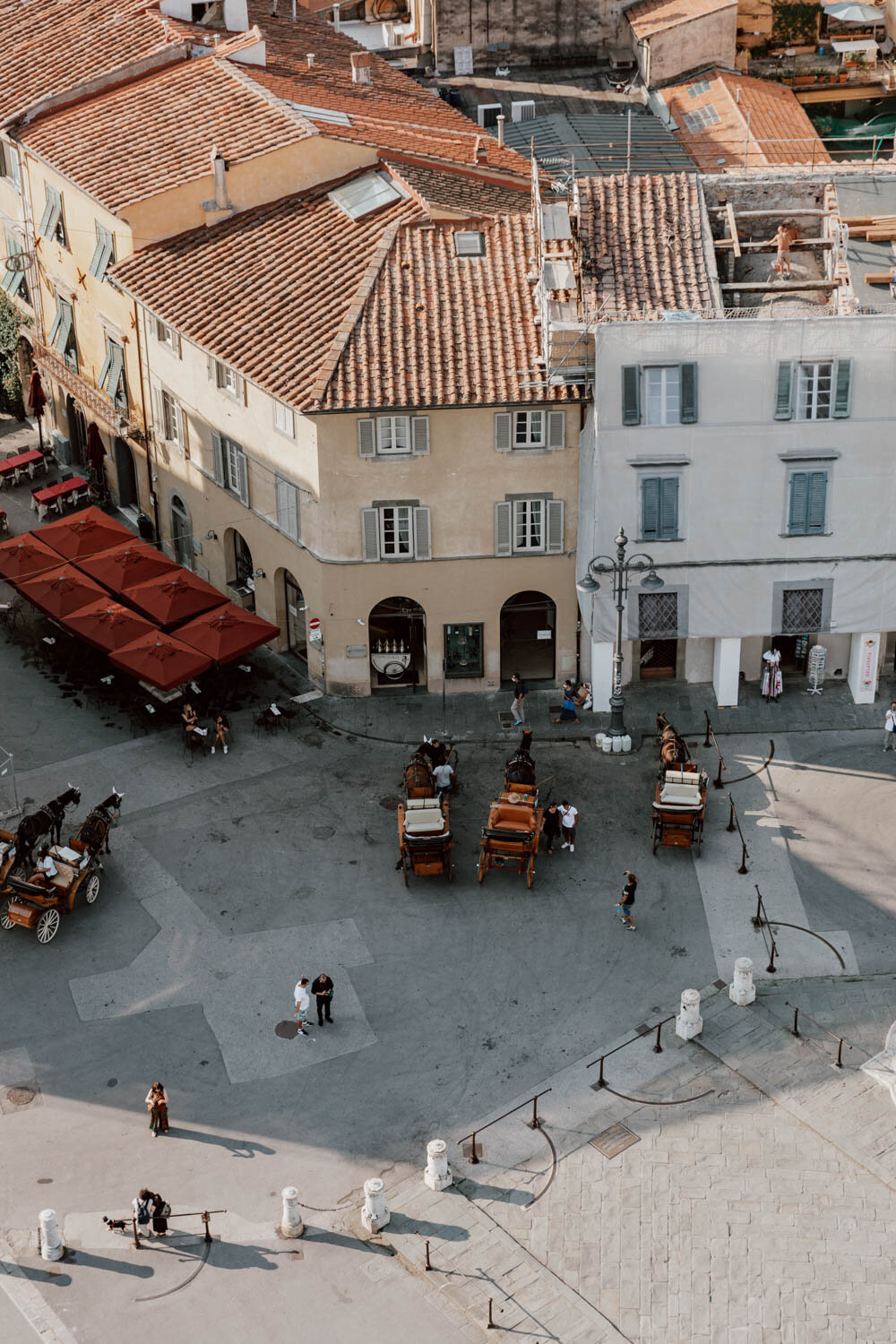 view of horse and carriages from the tower