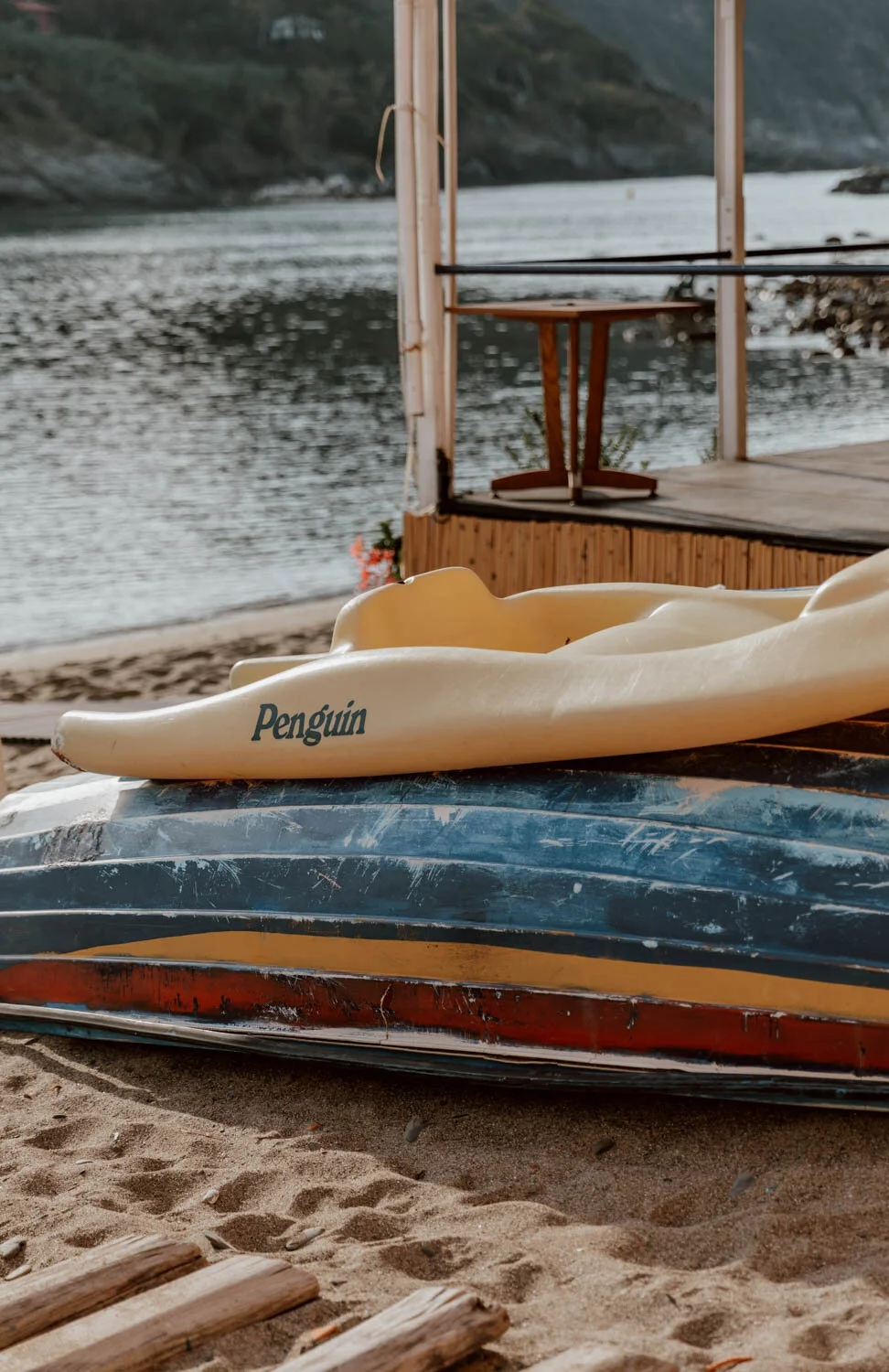 boat and pedalo