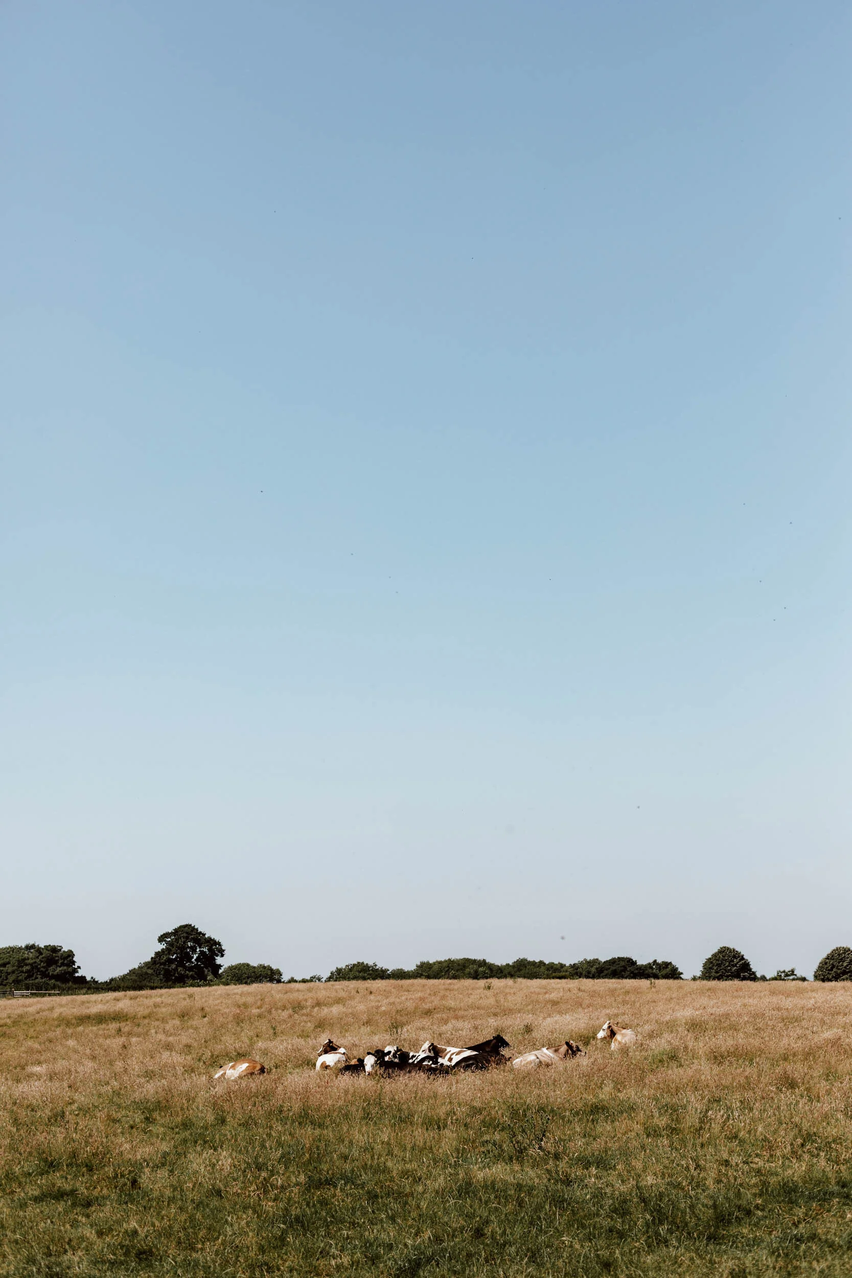 2L1A9230.jpg