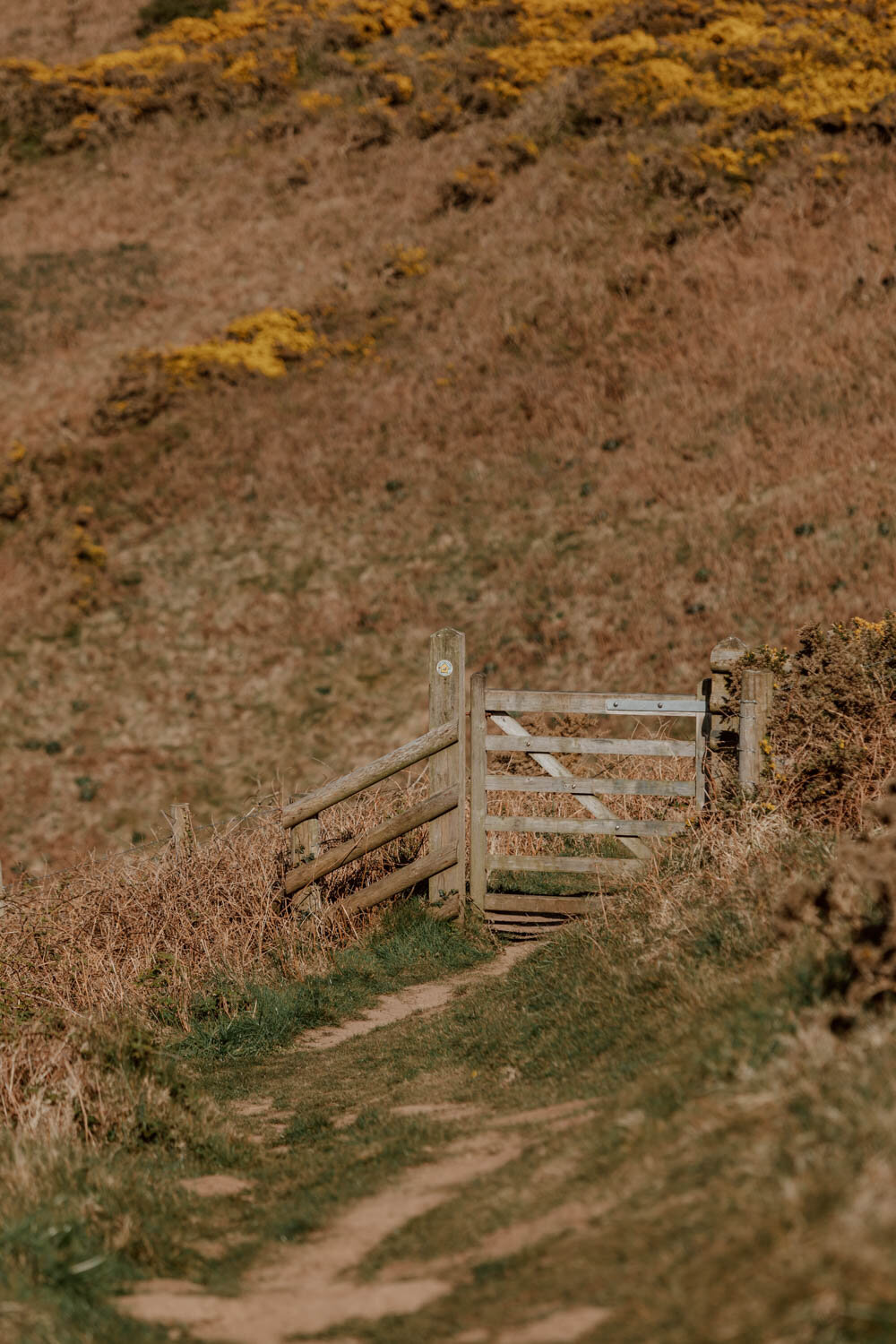 Ceredigion coast path