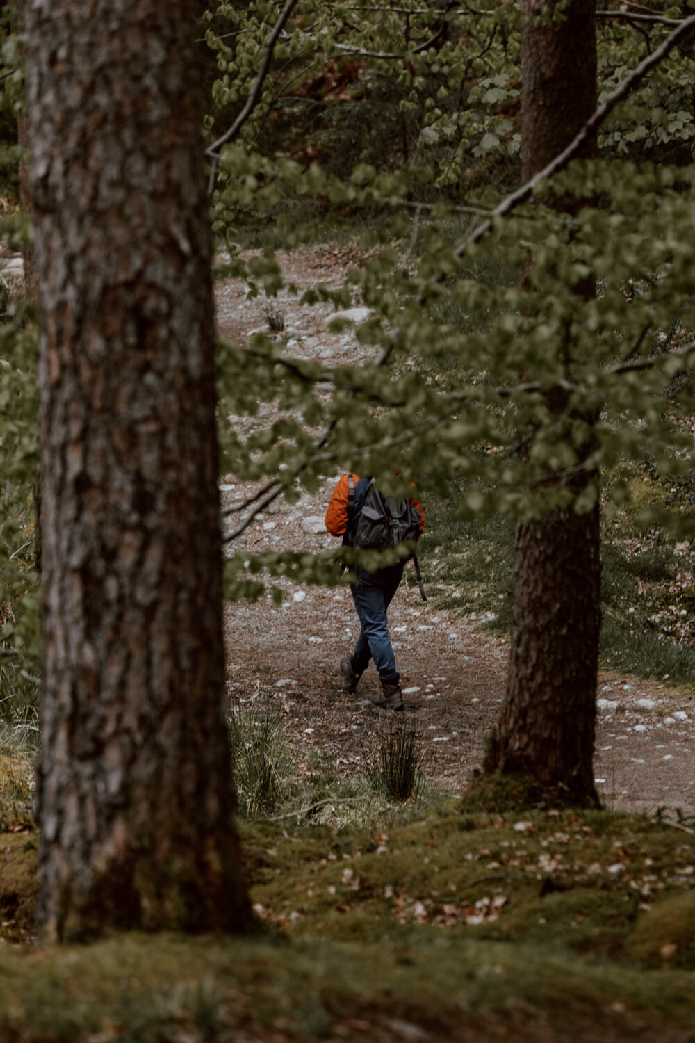 an torr trail