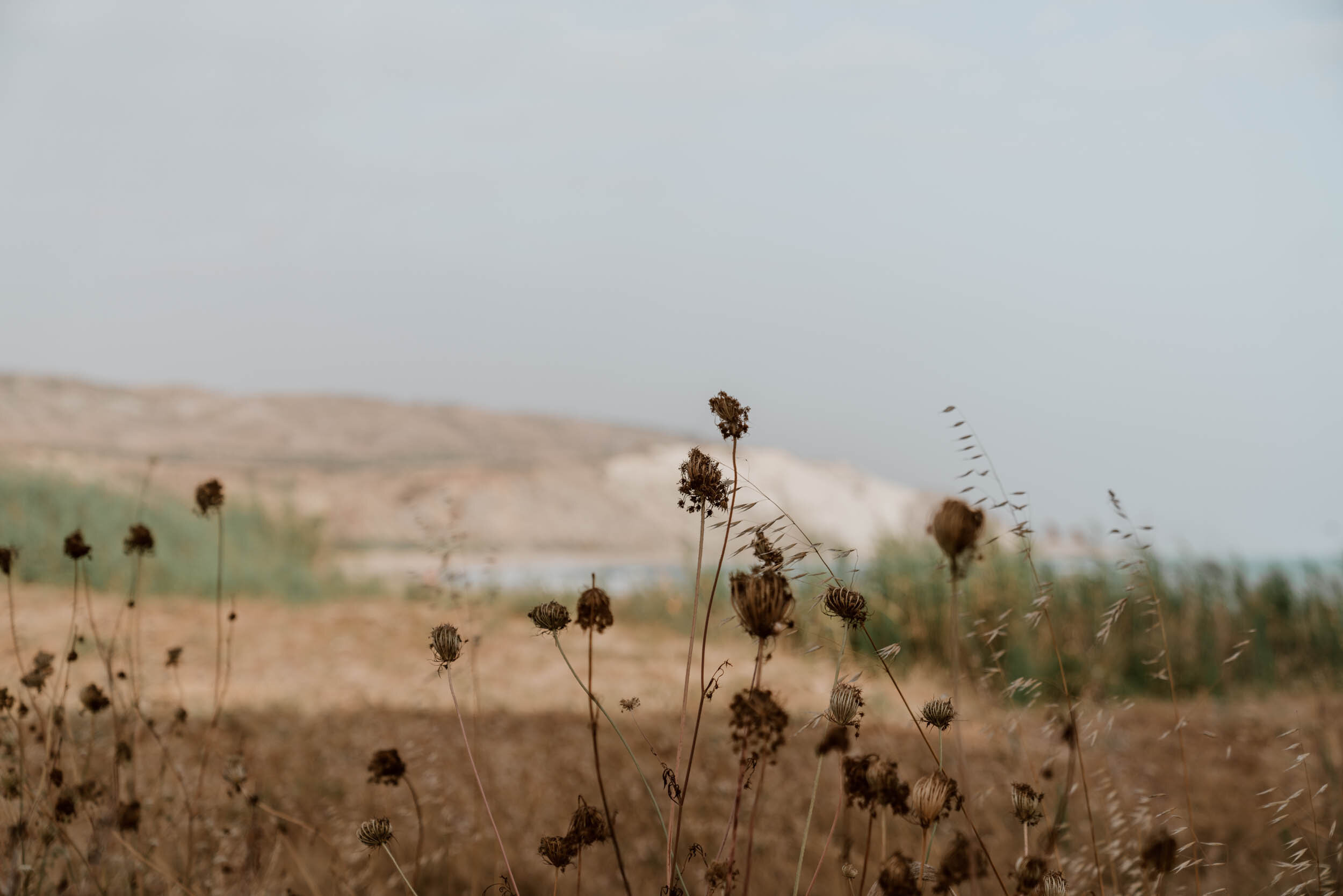 A Short Guide To Visiting Torre Salsa | Sicily's Wildest Beach