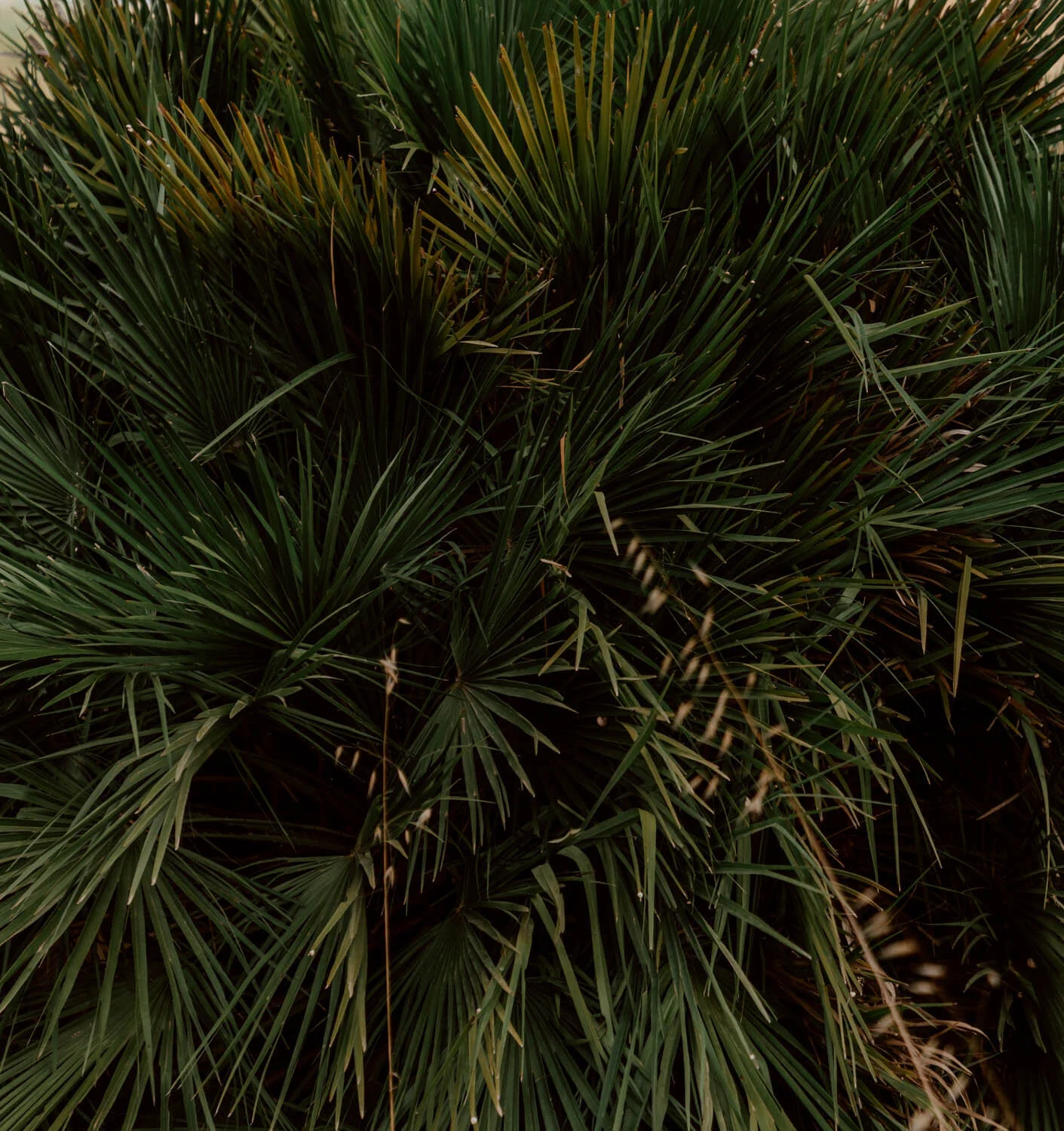 DSC07640.jpg