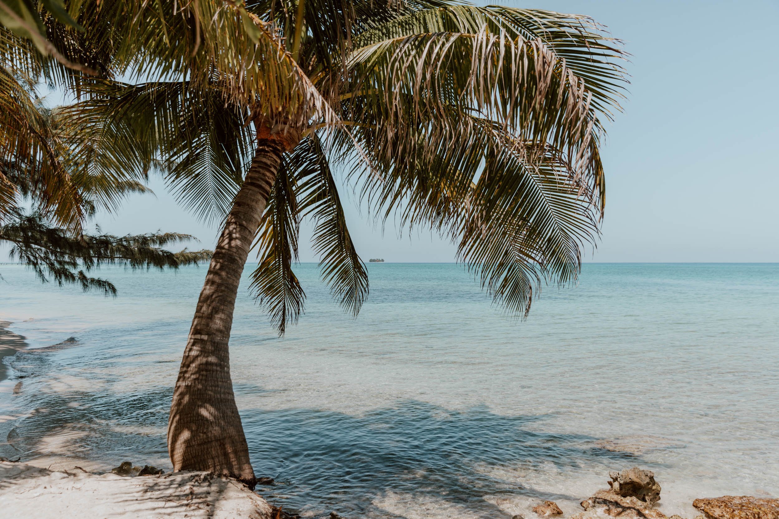 13 Wonderful Things To Do In Utila | The Diving Island — ALONG DUSTY ROADS