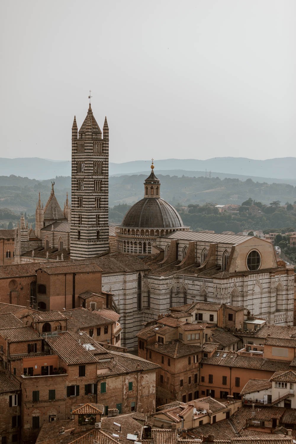view-of-siena-duomo-from-torre-mangia