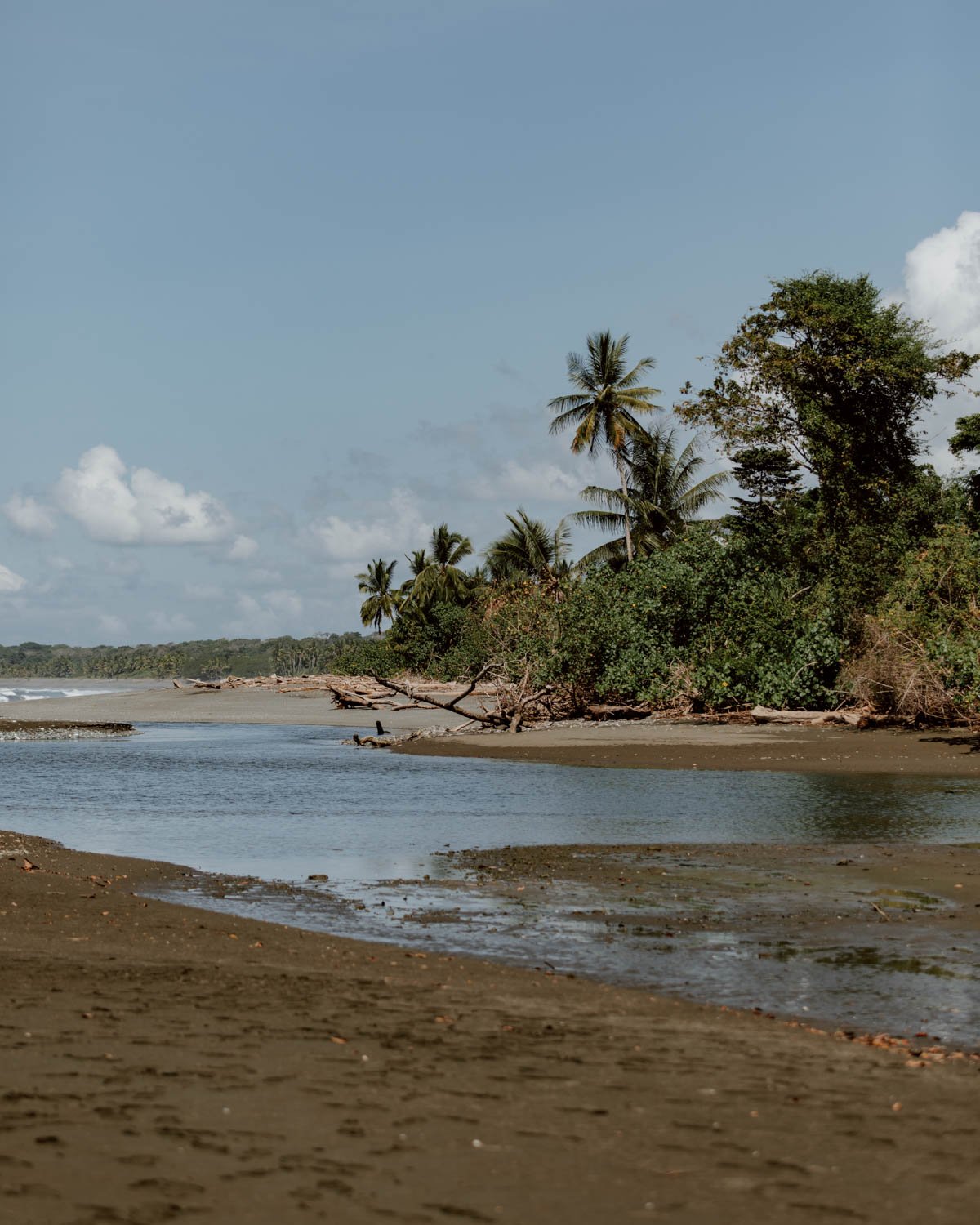 corcovado-national-park-adr-8.jpg