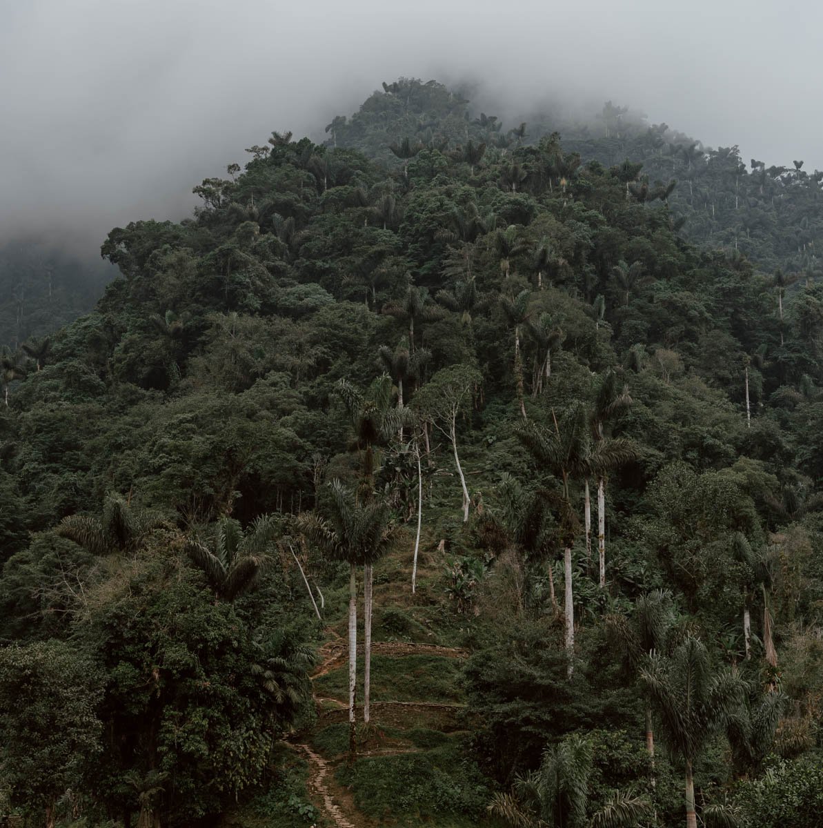 The Lost City Colombia