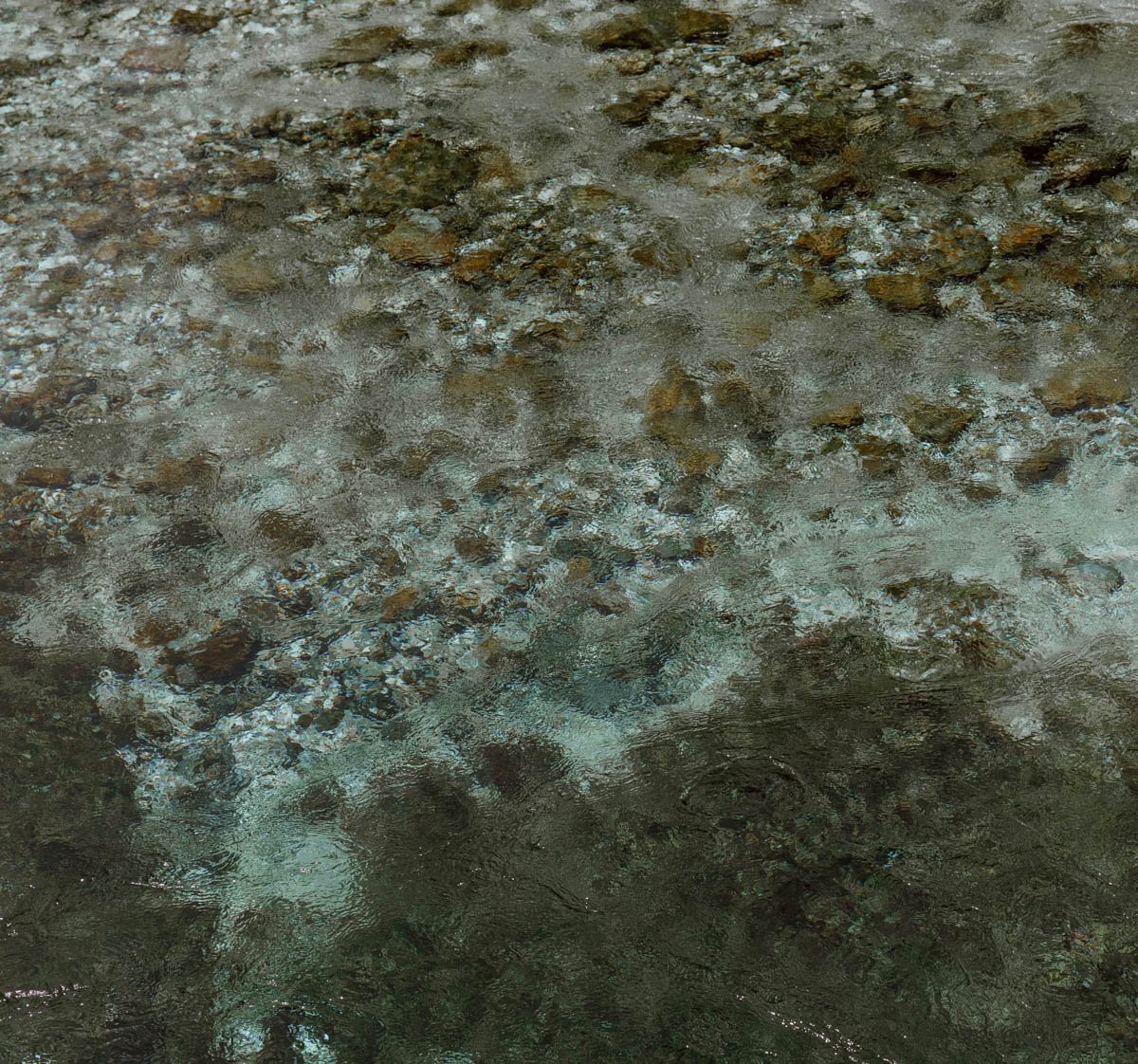 859A7954.jpg