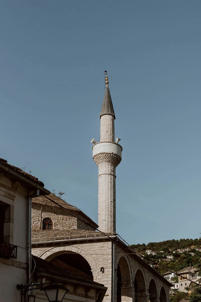411A6221.jpg