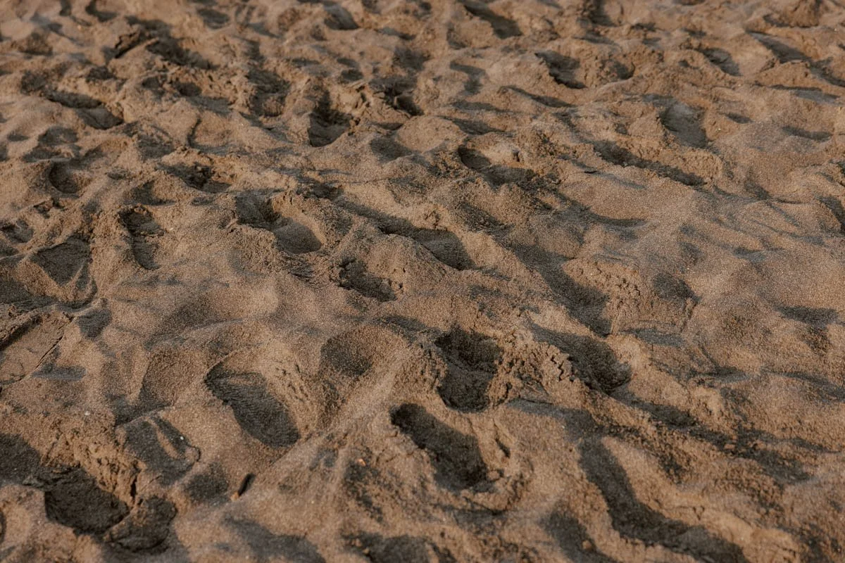 859A0322.jpg