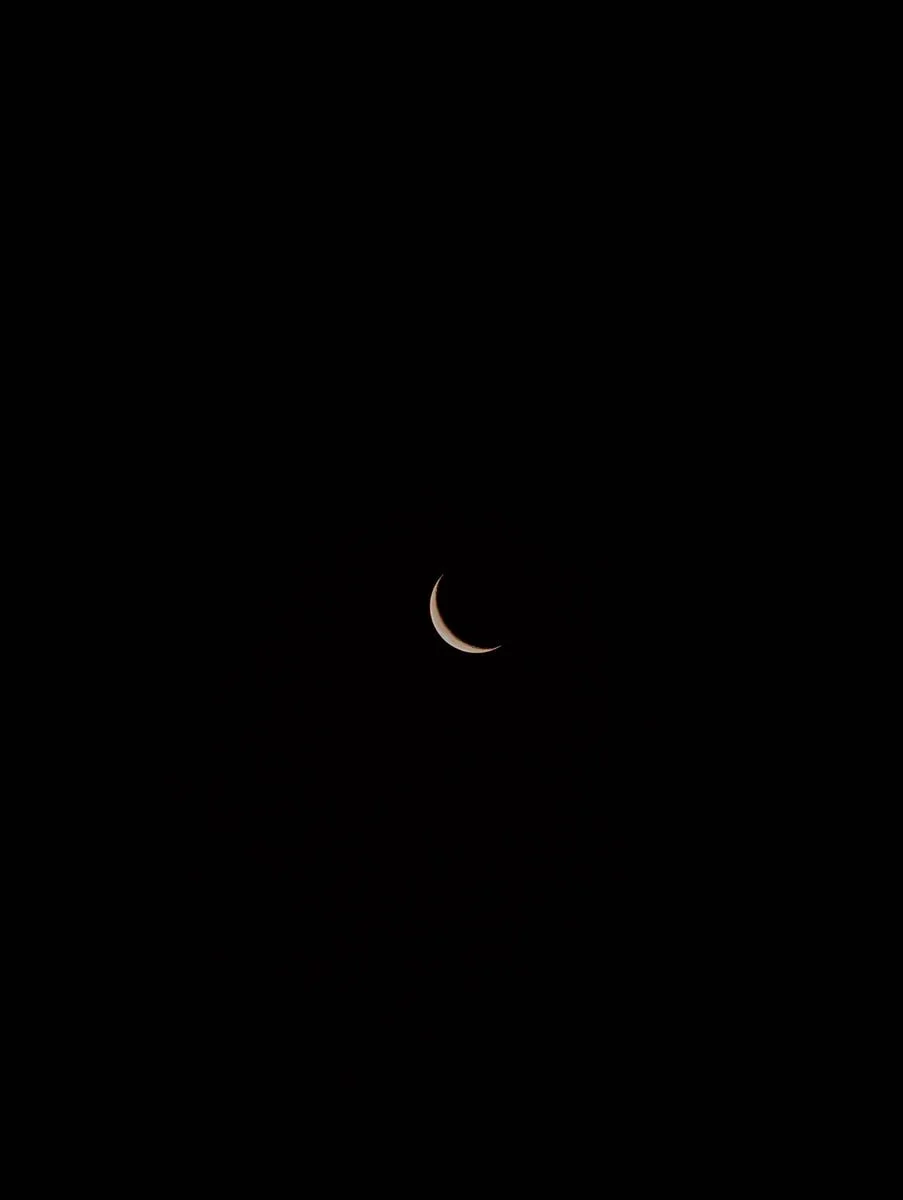 411A2927.jpg