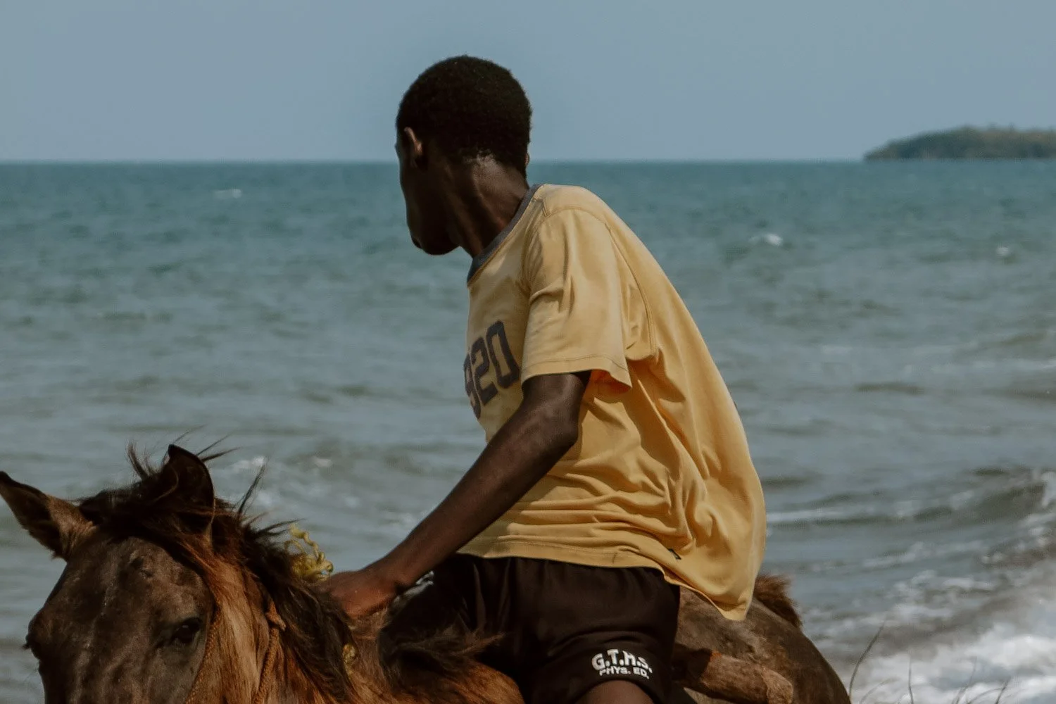 Horseplay in Hopkins | Photography Journal