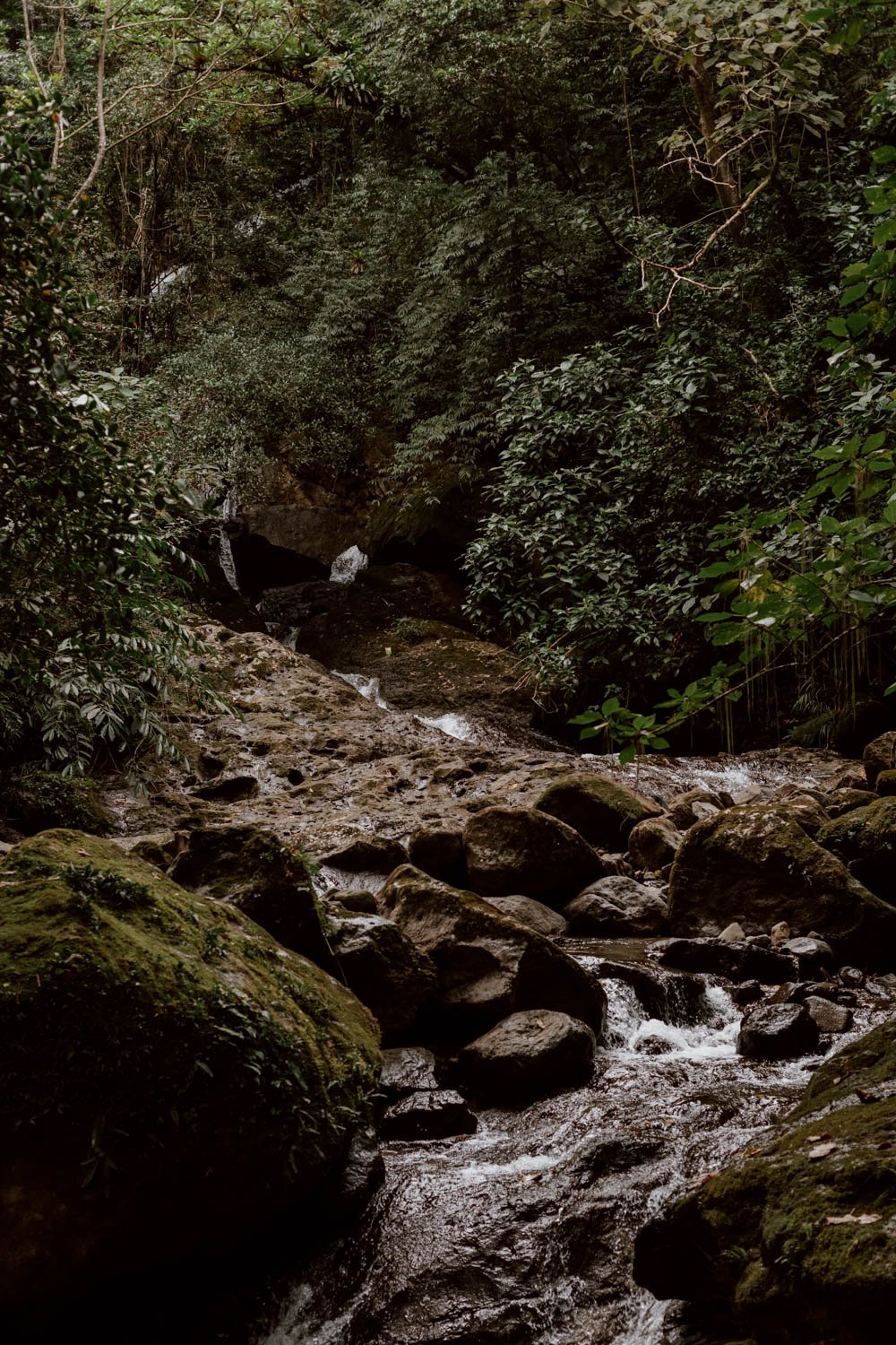 411A9081.jpg