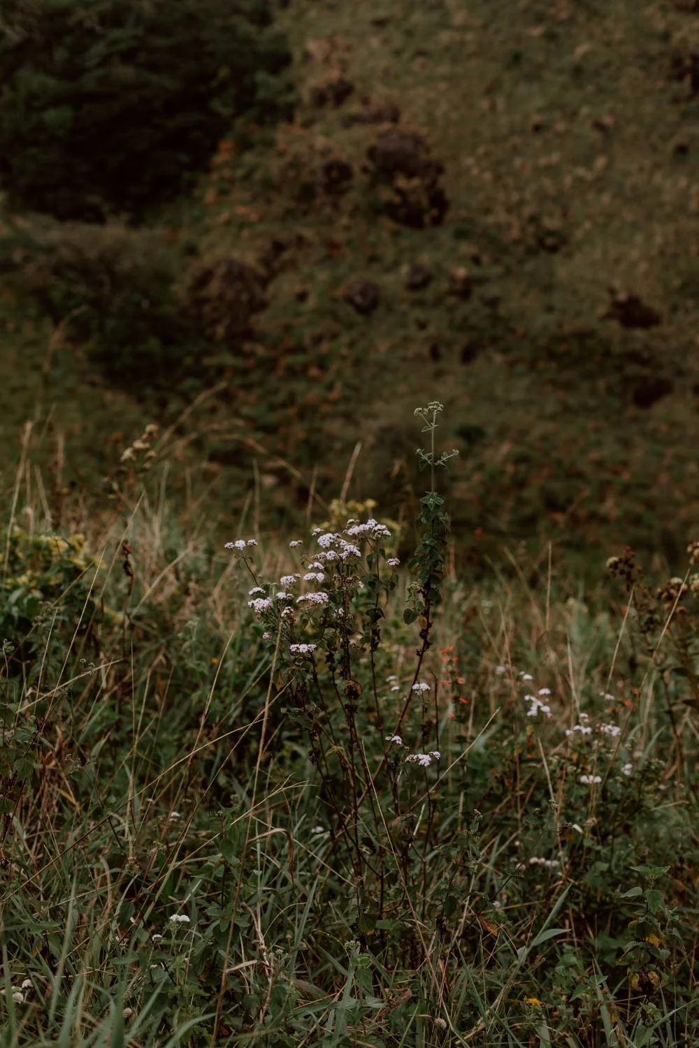 411A9118.jpg
