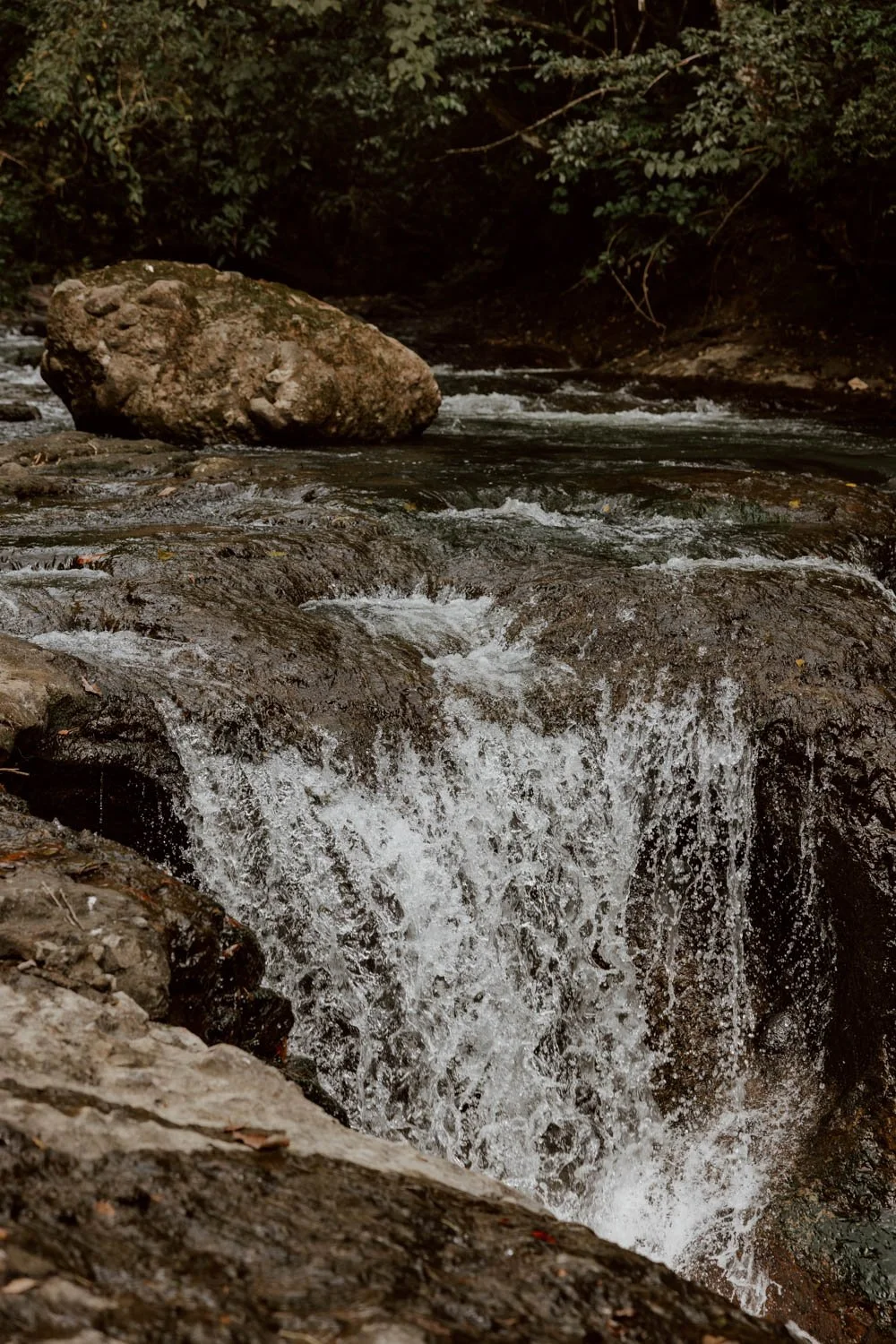 859A7074.jpg