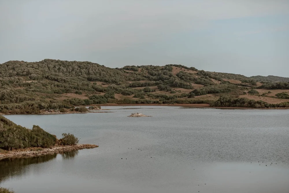 Where to Watch Birds in Menorca: Top Spots for Birdwatchers