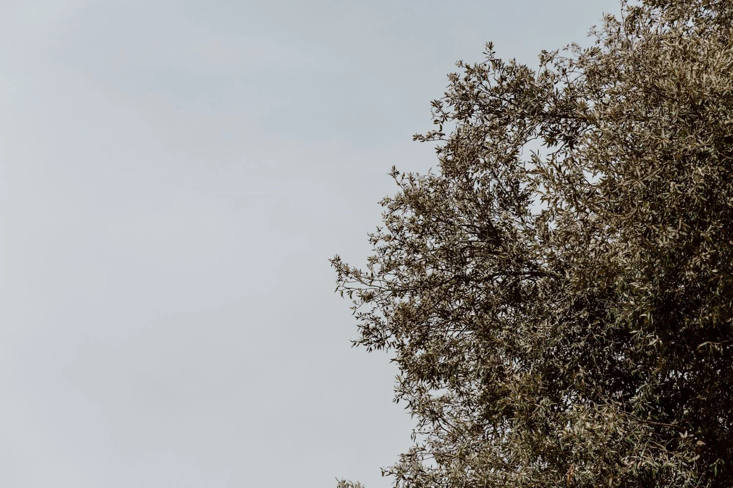 A Countryside Puglian Villa | Our Stay at Corte dei Messapi