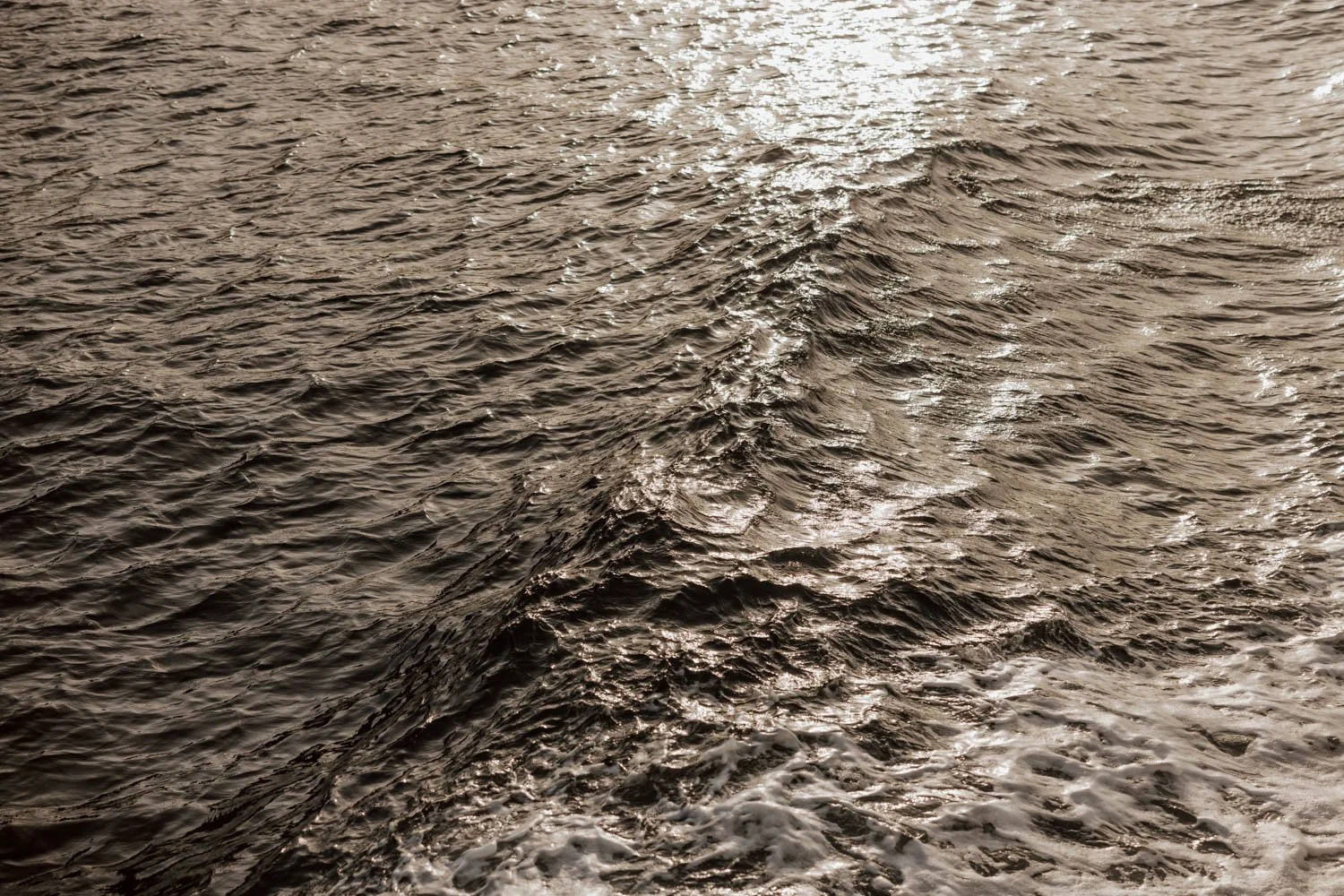 859A8575.jpg