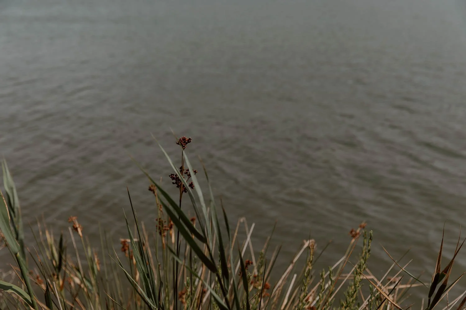 859A7527.jpg