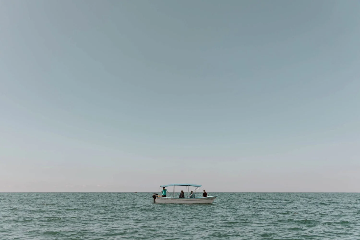 Whale Watching in Uvita, Costa Rica | What You Need to Know