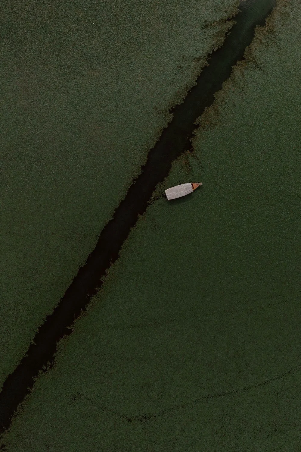 DJI_20250924130758_0106_D.jpg