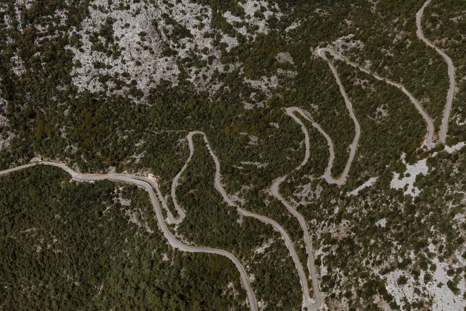 DJI_20250923114340_0079_D.jpg