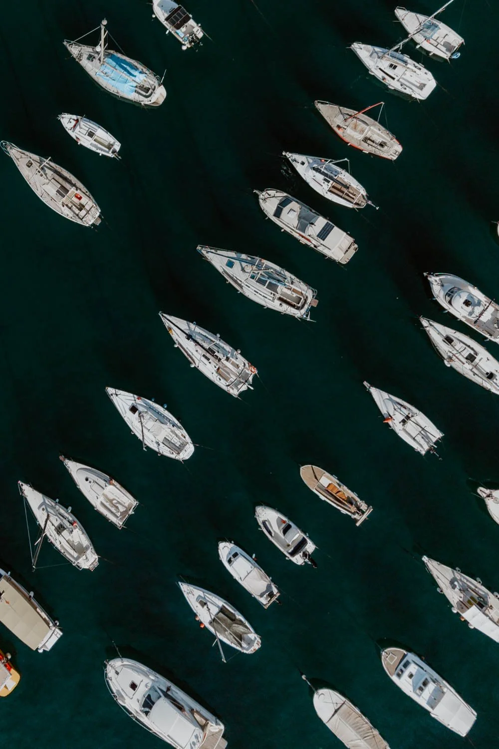 DJI_20250916093153_0350_D.jpg