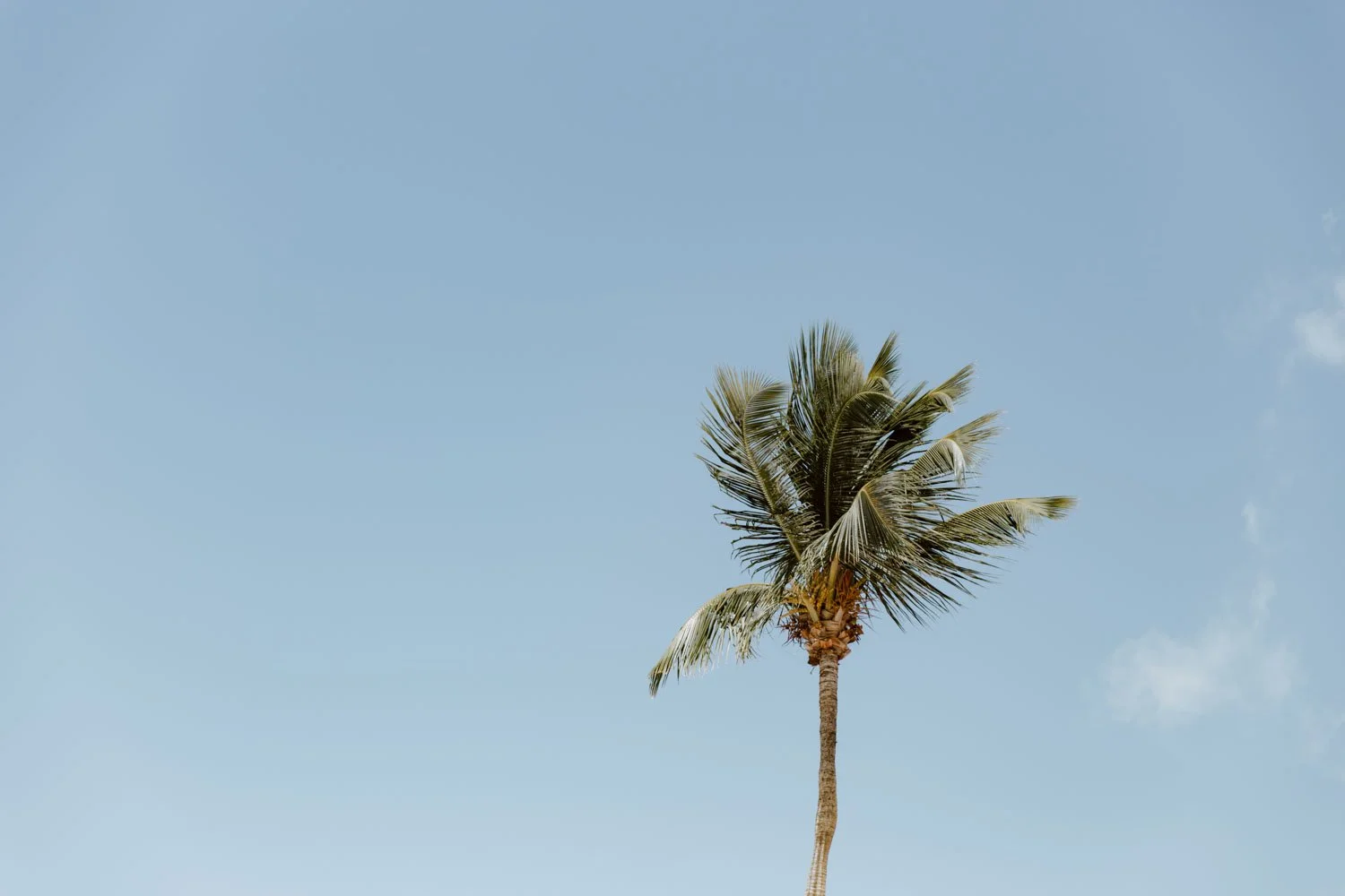 How to Get to The Corn Islands