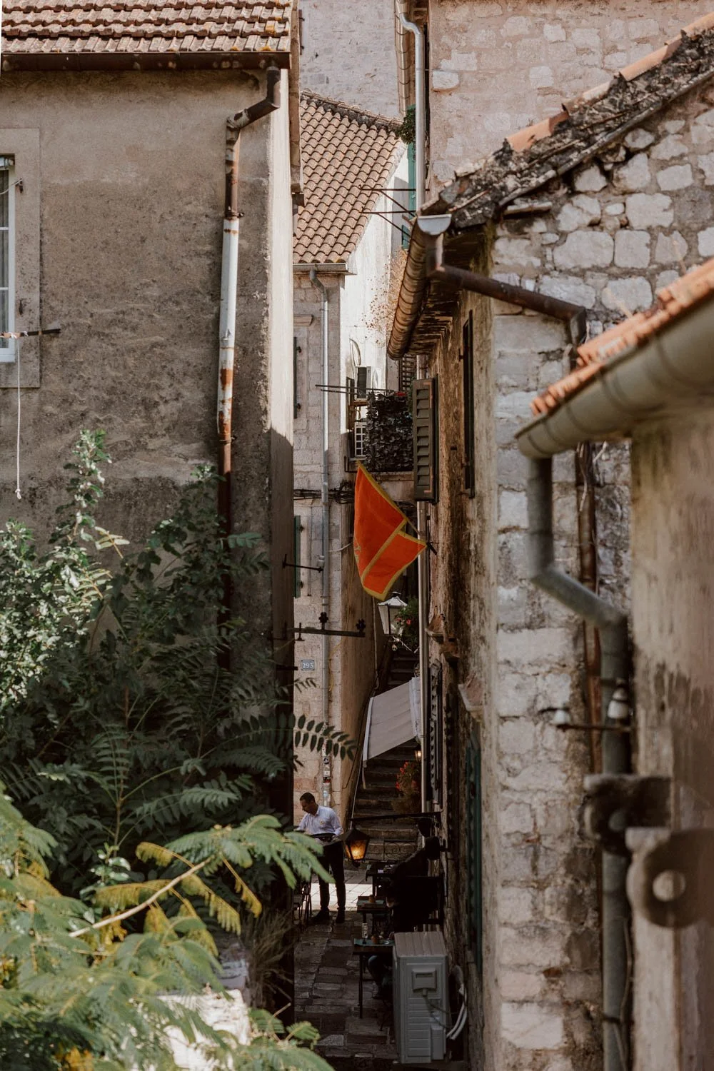 859A0405.jpg