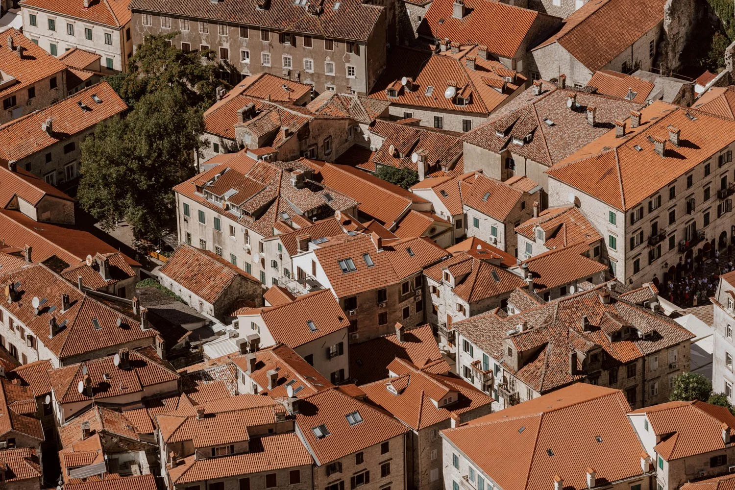 The Best Things to Do in Kotor, Montenegro