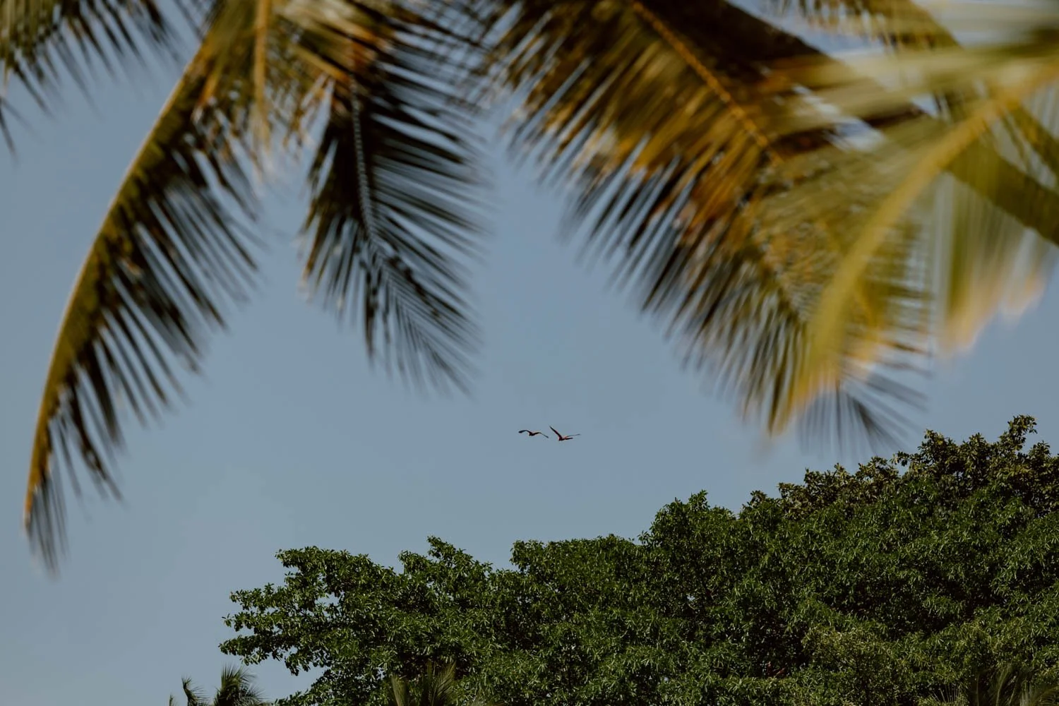 Panama to Costa Rica | The Sixaolo-Guabito Border Crossing