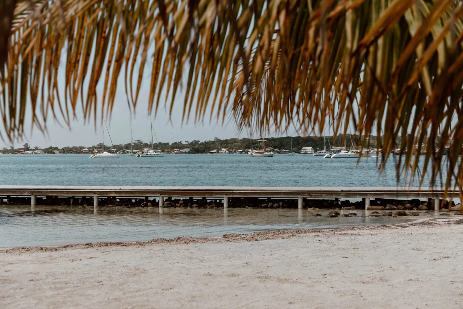 13 Wonderful Things To Do In Utila The Diving Island — ALONG DUSTY ROADS