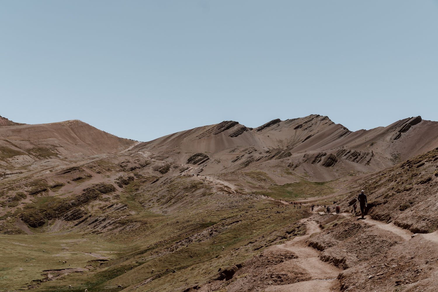 Andean landscape