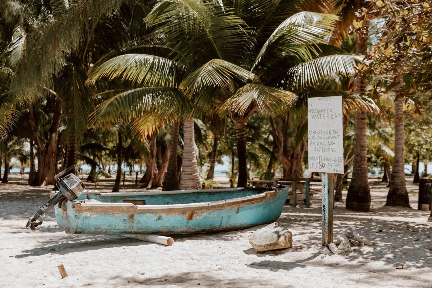 13 Wonderful Things To Do In Utila The Diving Island — ALONG DUSTY ROADS