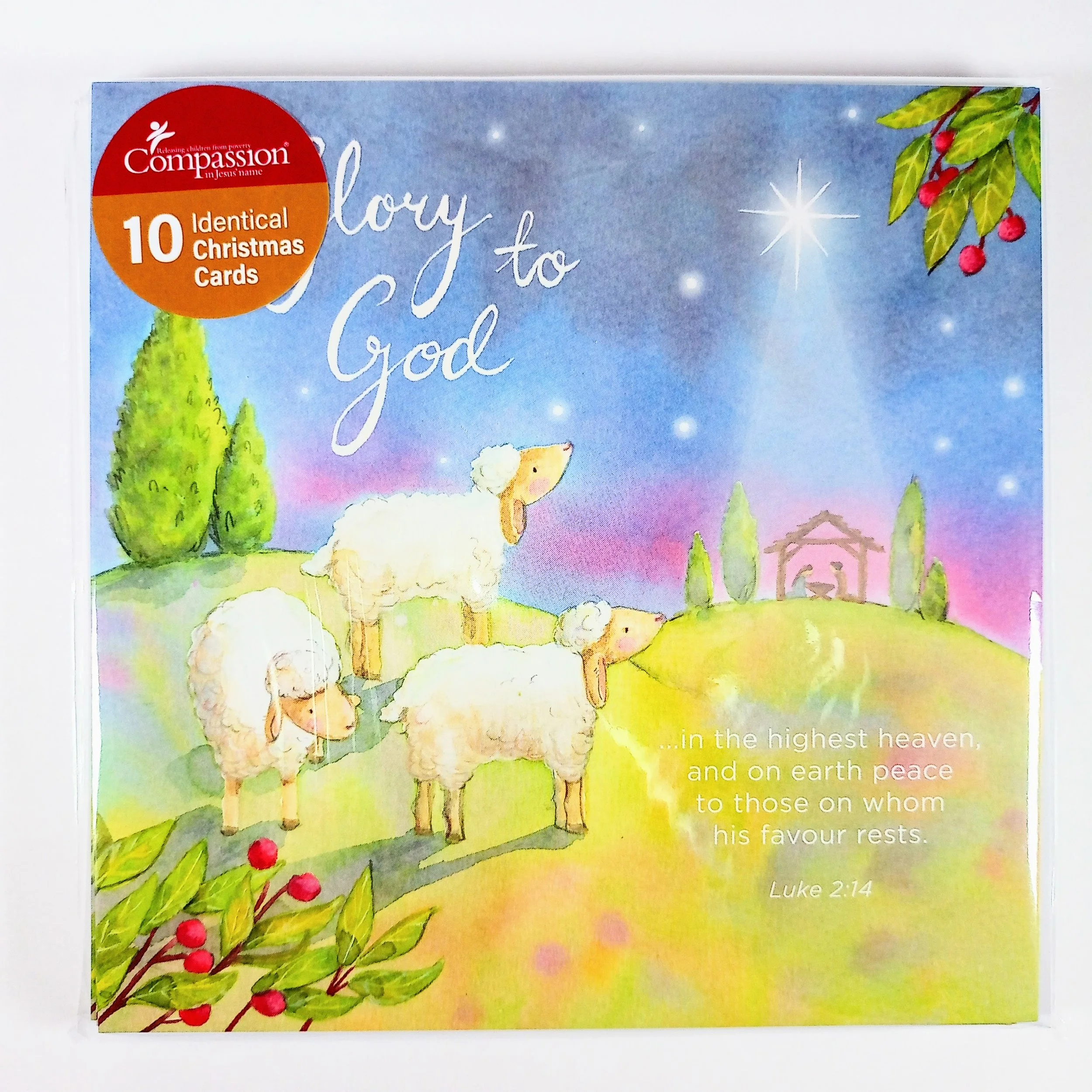 Compassion Glory to God Christmas Cards 10 Pack