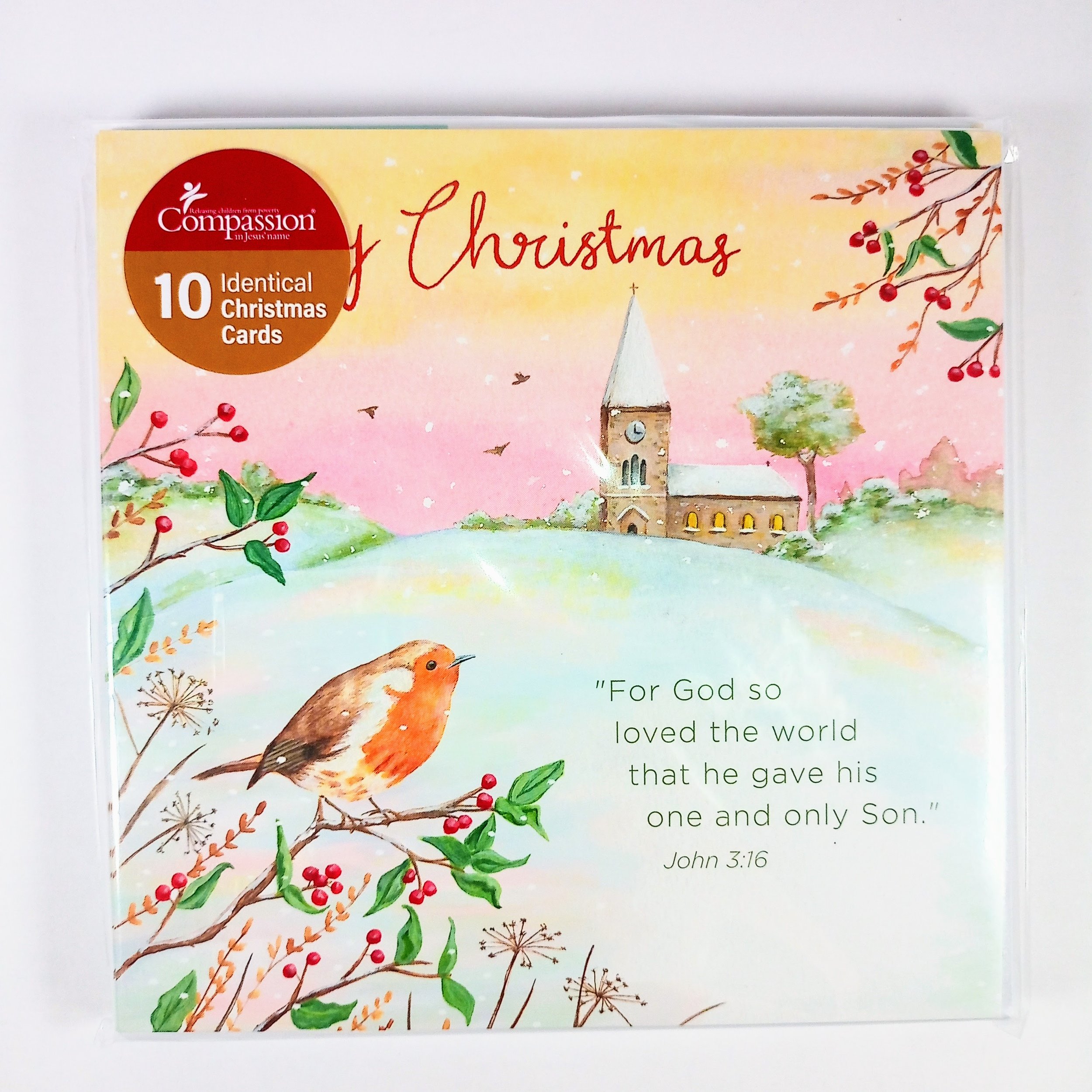 Compassion God so Loved Christmas Cards 10 Pack