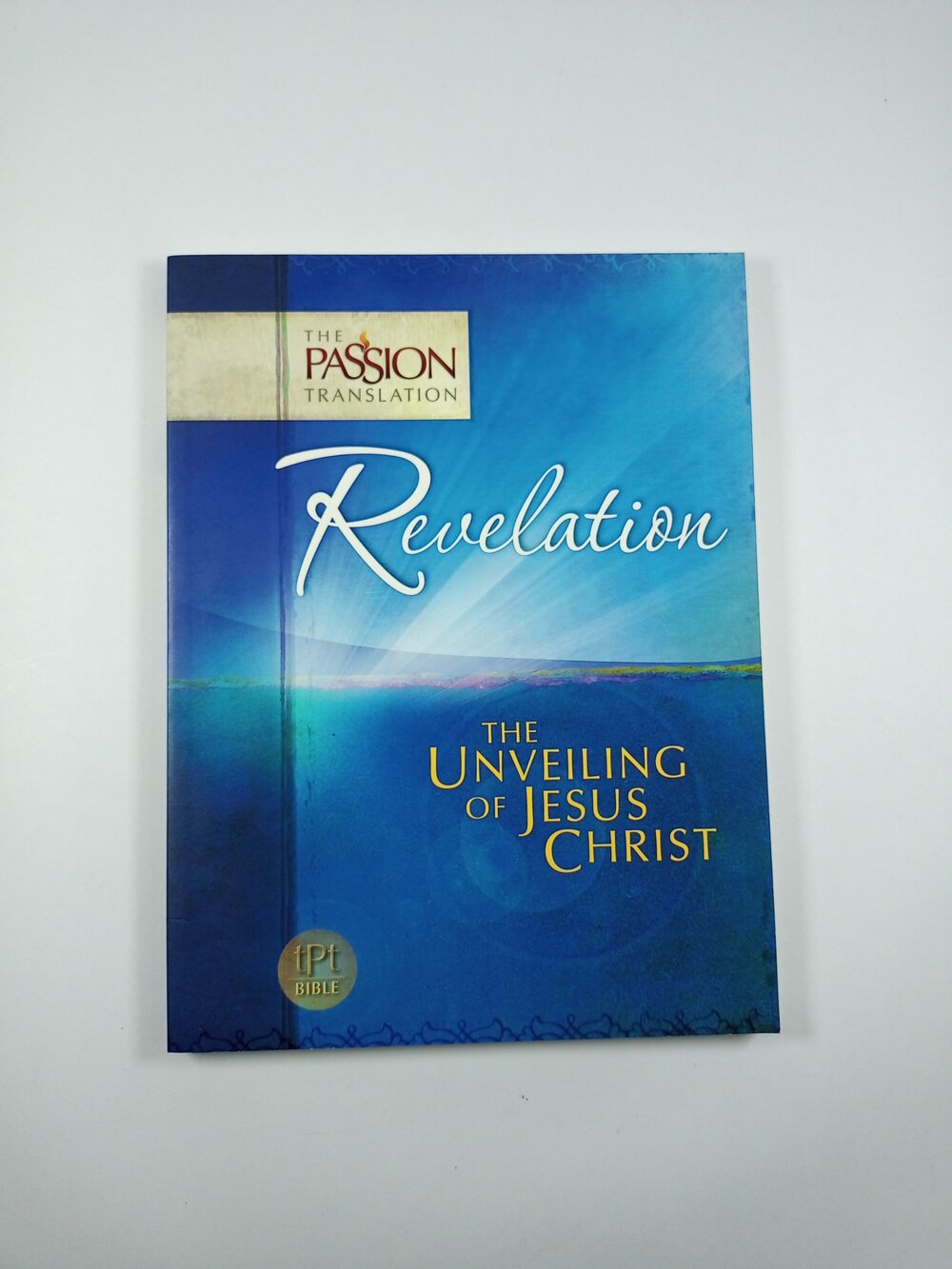 Paperback　Simmons　Translation,　Bridge　by　Brian　Jesus　Books　Unveiling　Revelation　The　Passion　The　—　of　Christ