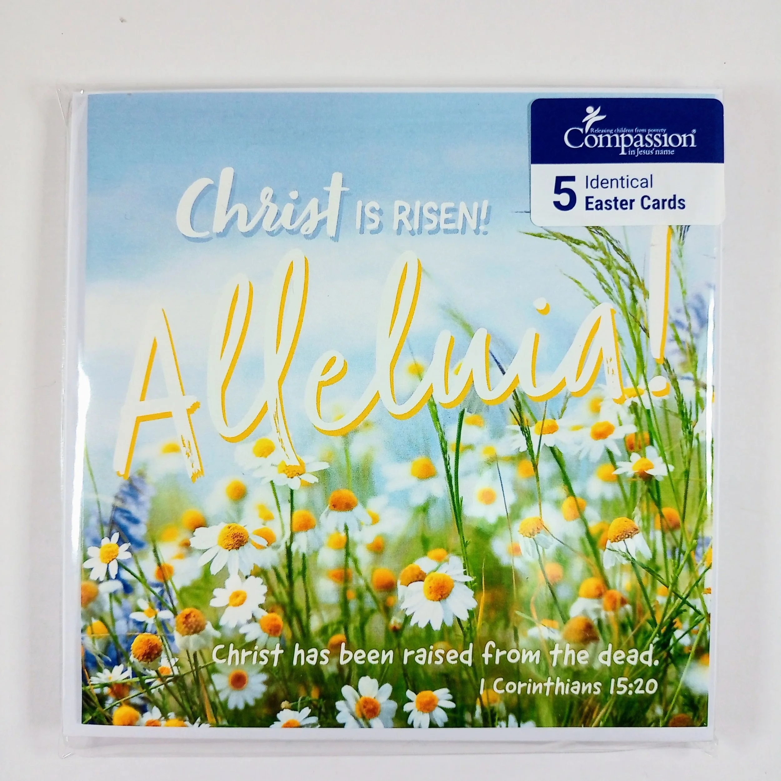 Compassion Easter Cards 5 pack Christ is Risen!