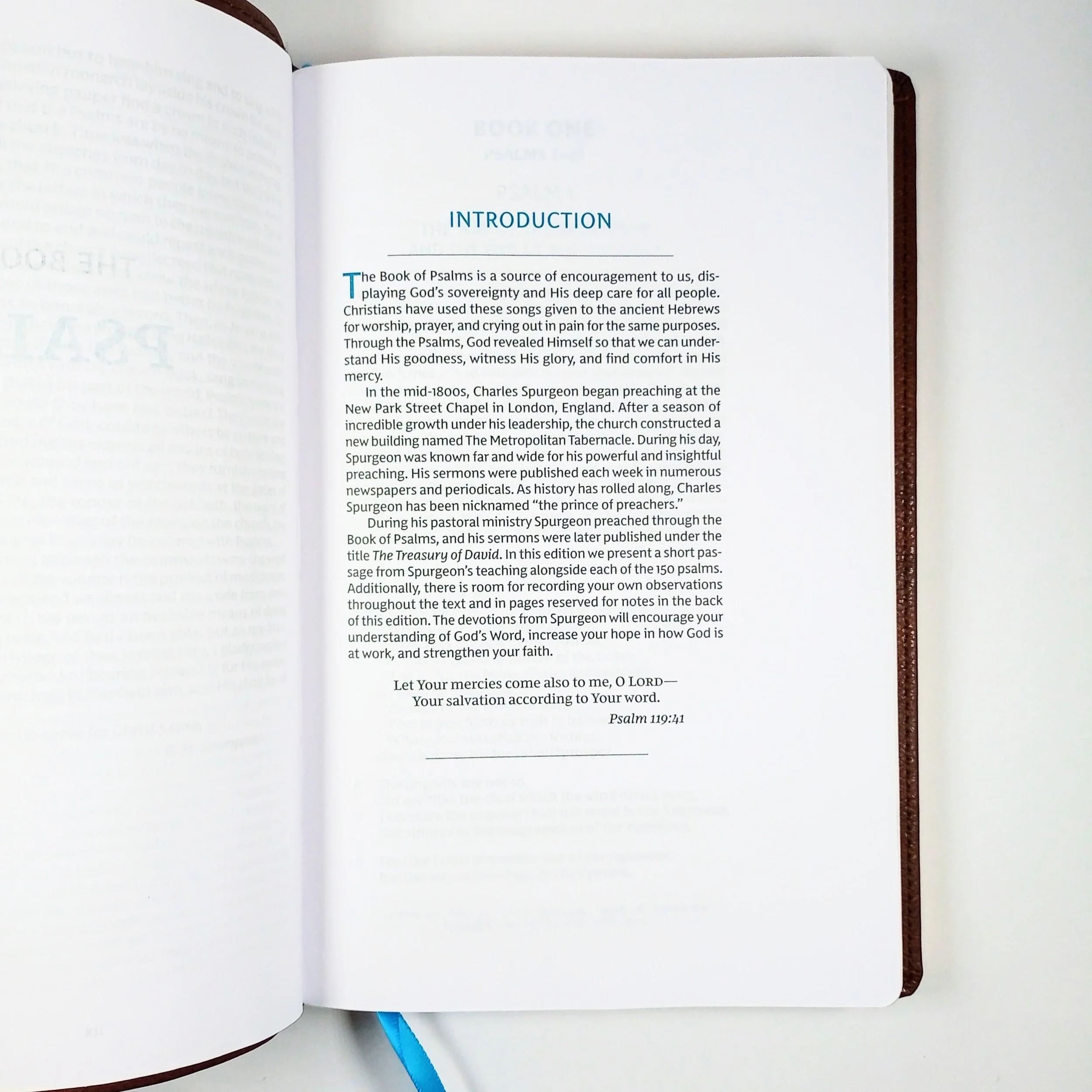 IMG_20260330_164047_199.jpg (Copy)