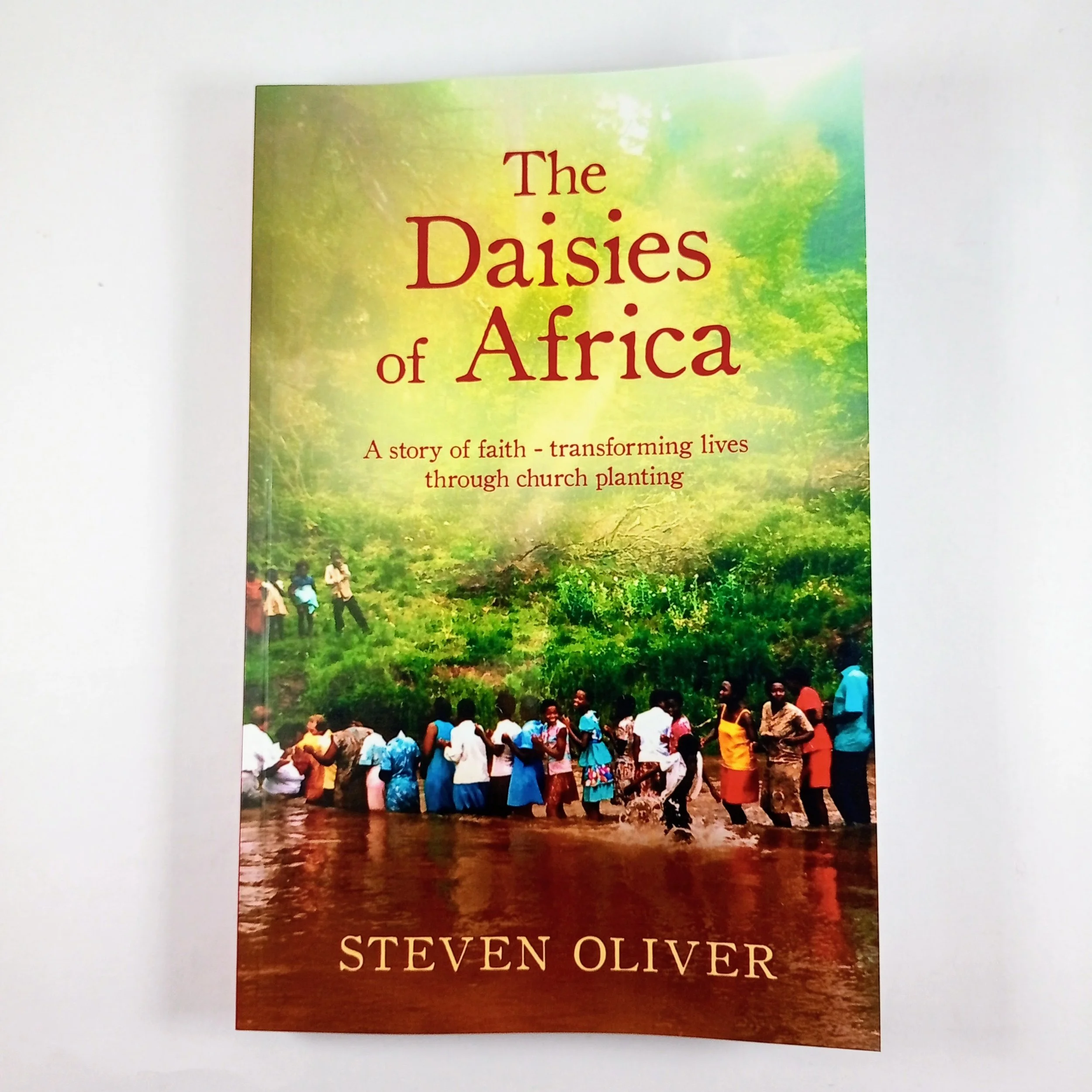 The Daisies of Africa by Steven Oliver