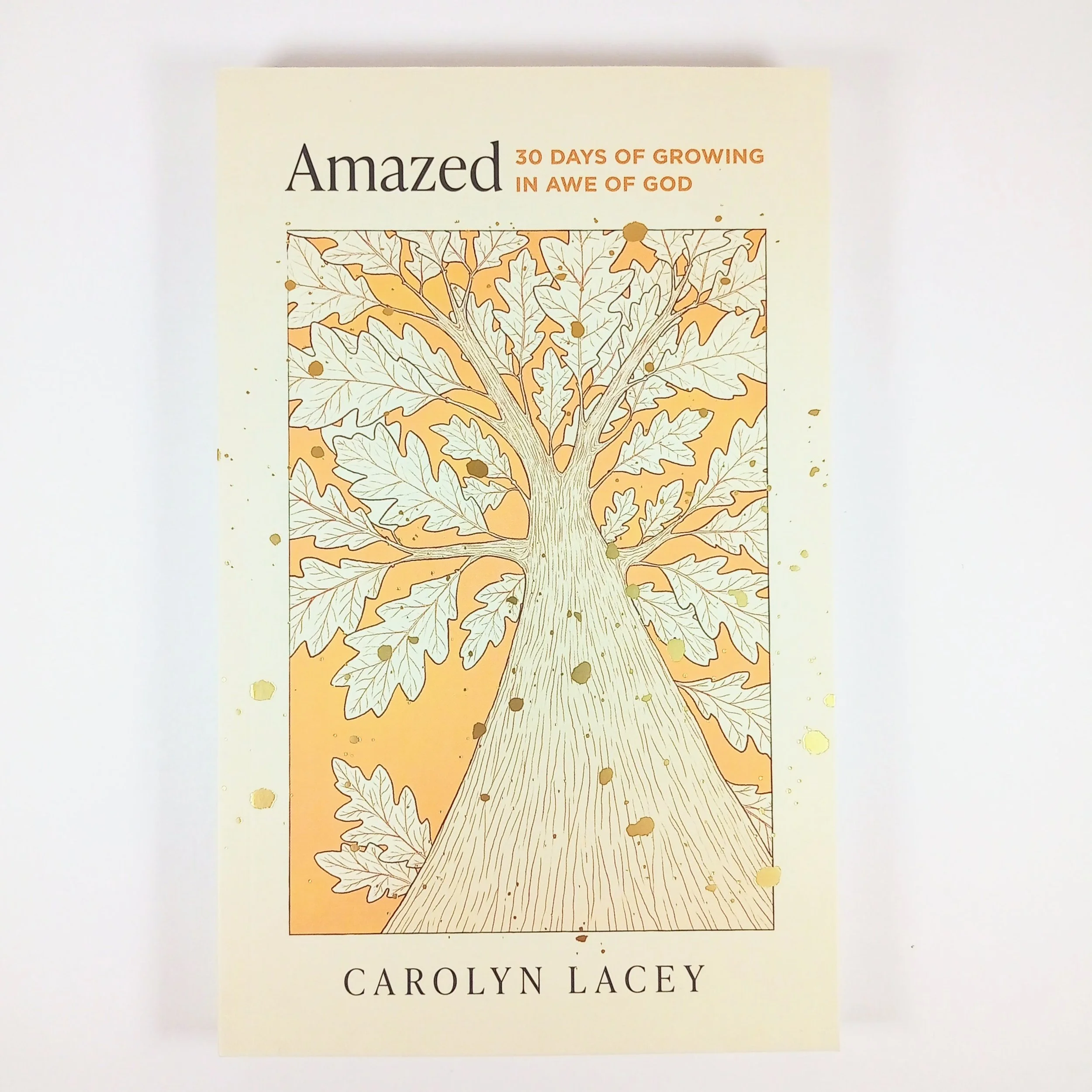 Amazed 30 Days of Growing in Awe of God by Carolyn Lacey