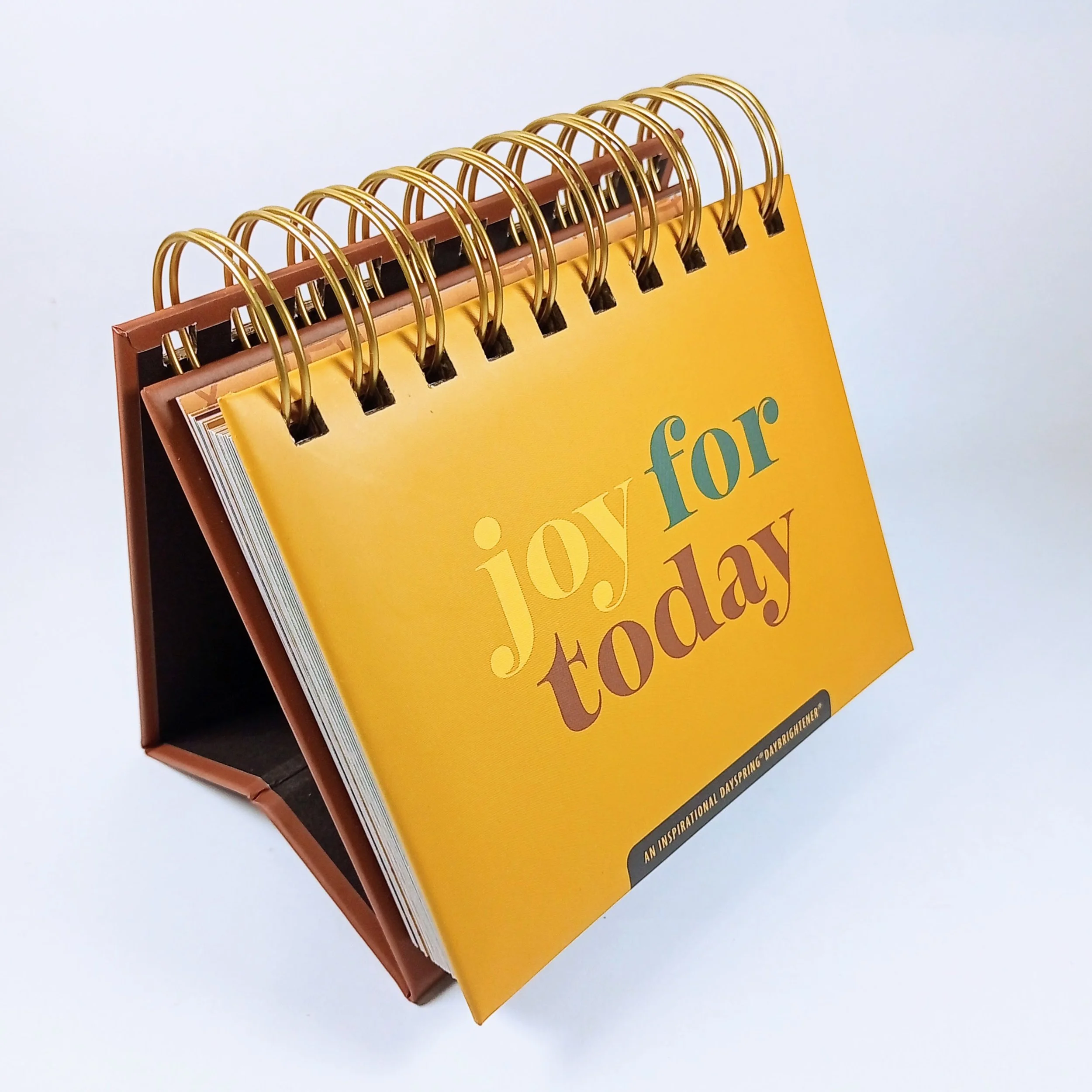 Joy for Today DayBrightener